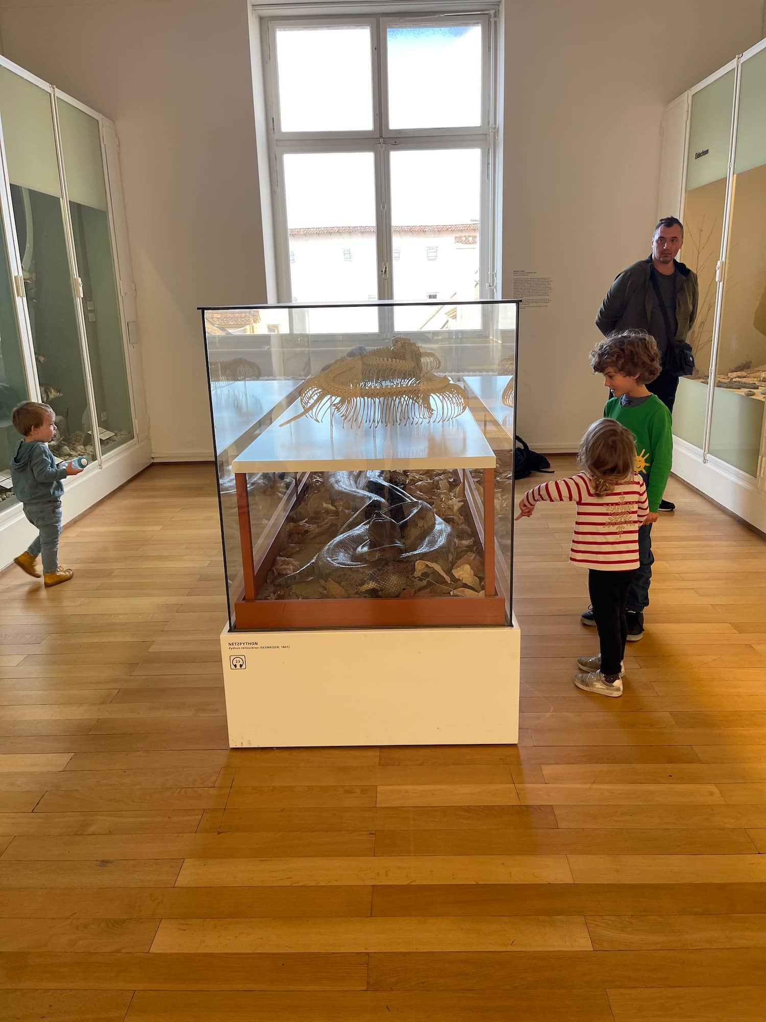 Beautifully Laid Out Exhibits