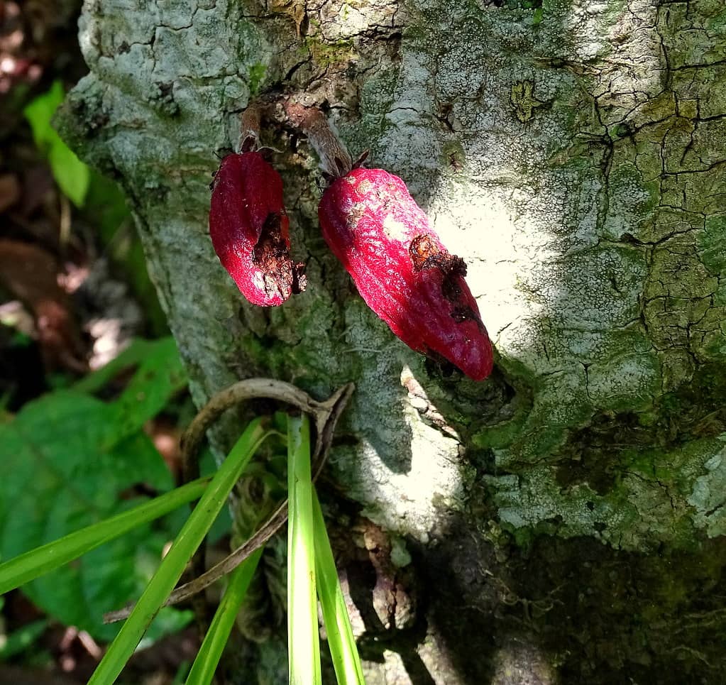 Urban Culture Events