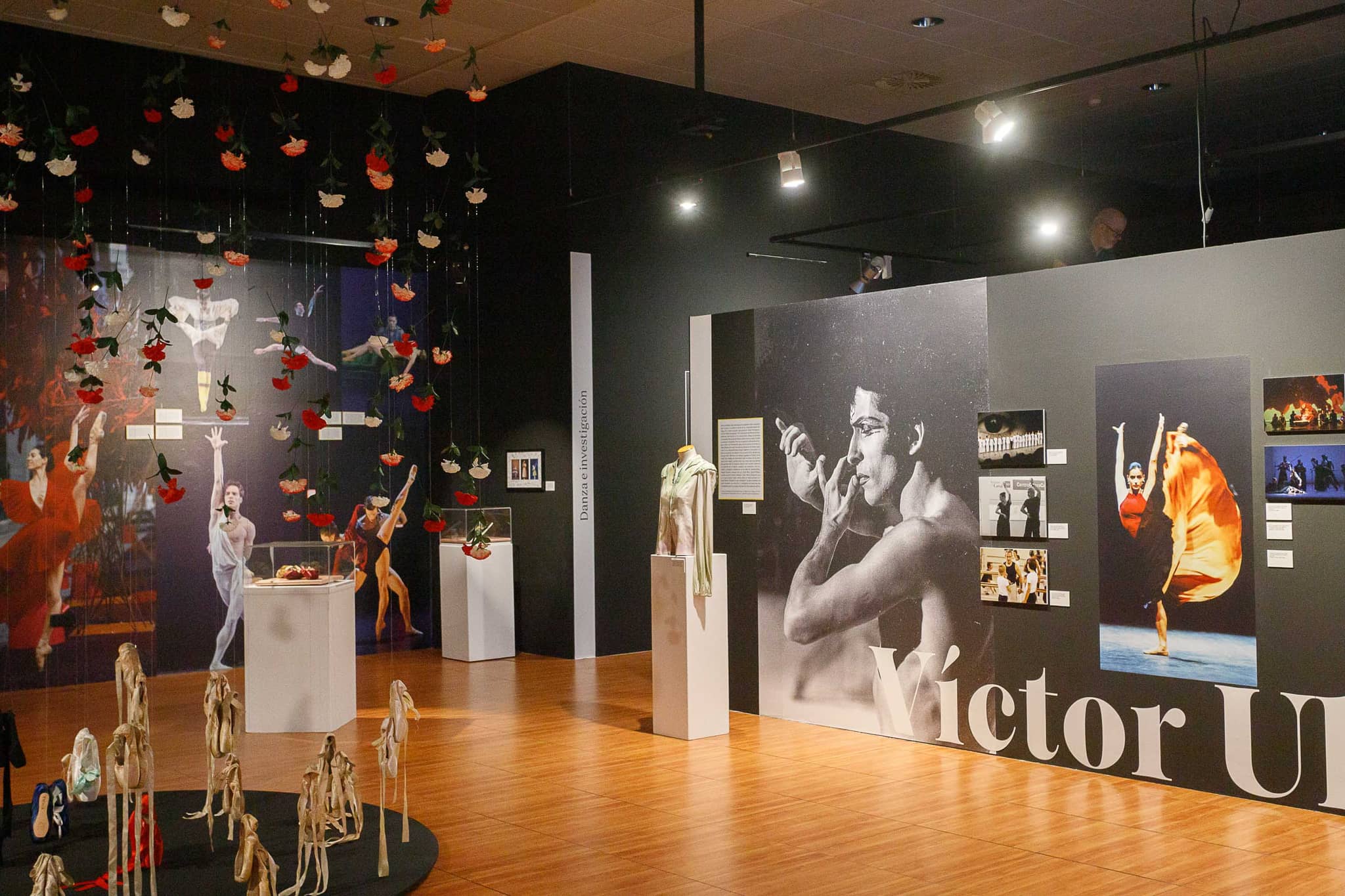 Art Exhibitions