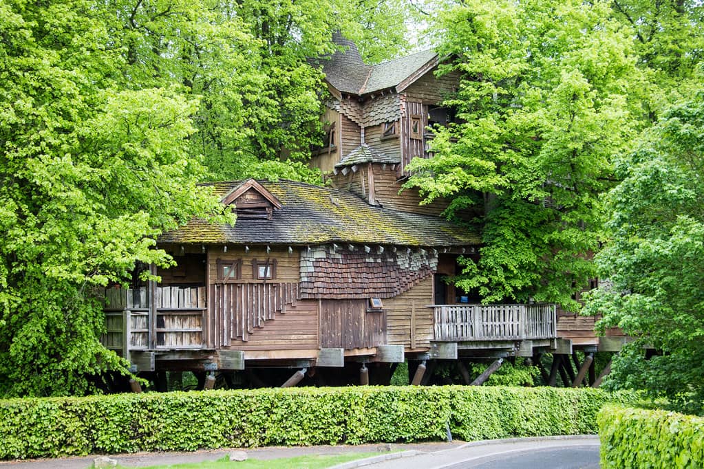 Medieval Chapel Ruins & Treehouse