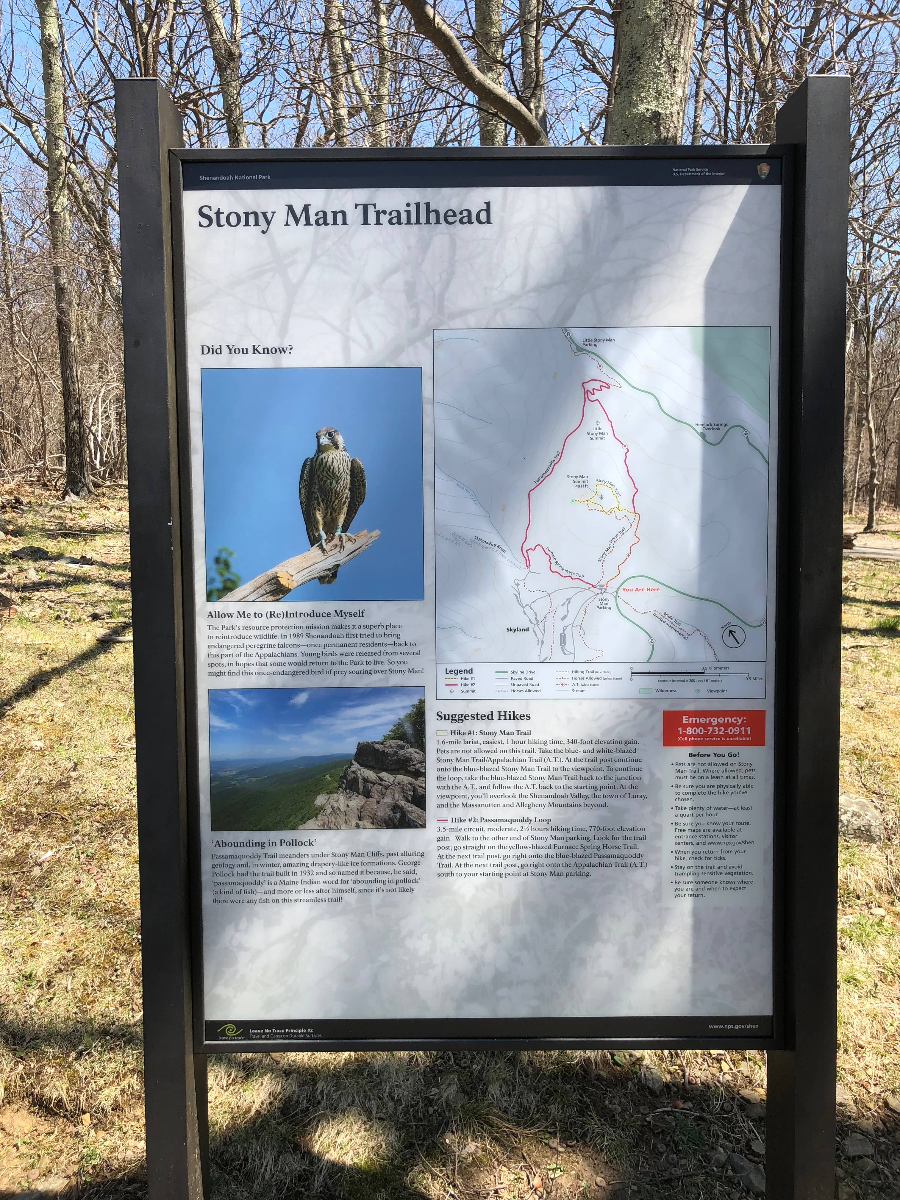 Stony Man Trail