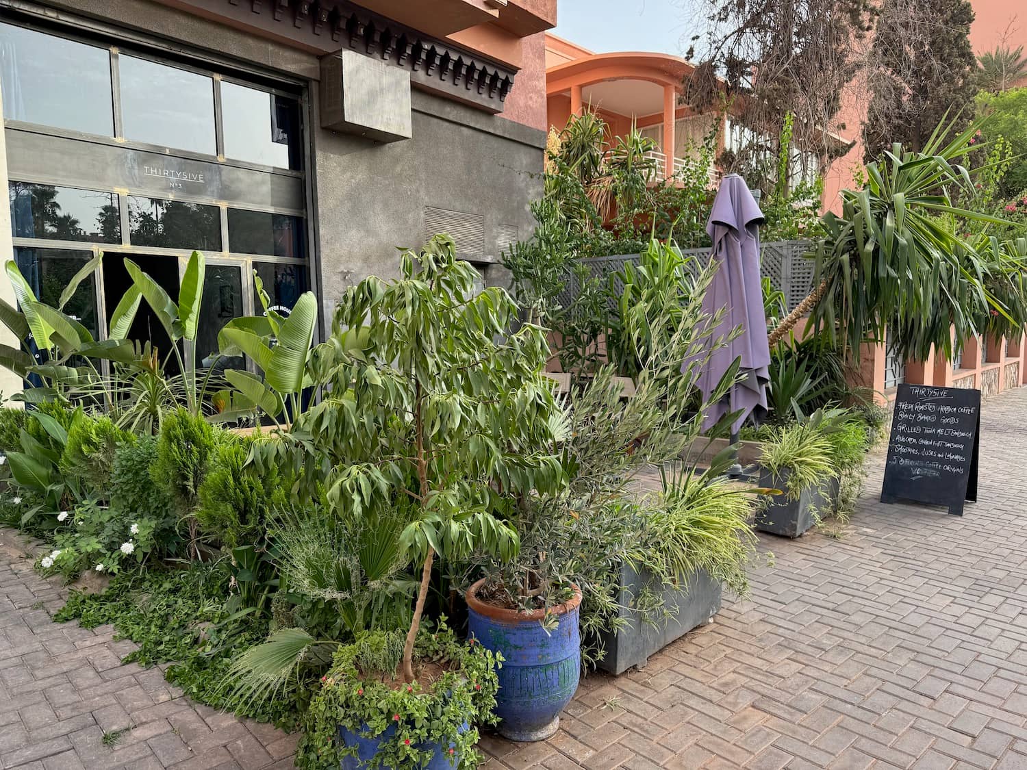 Botanical Wonderland