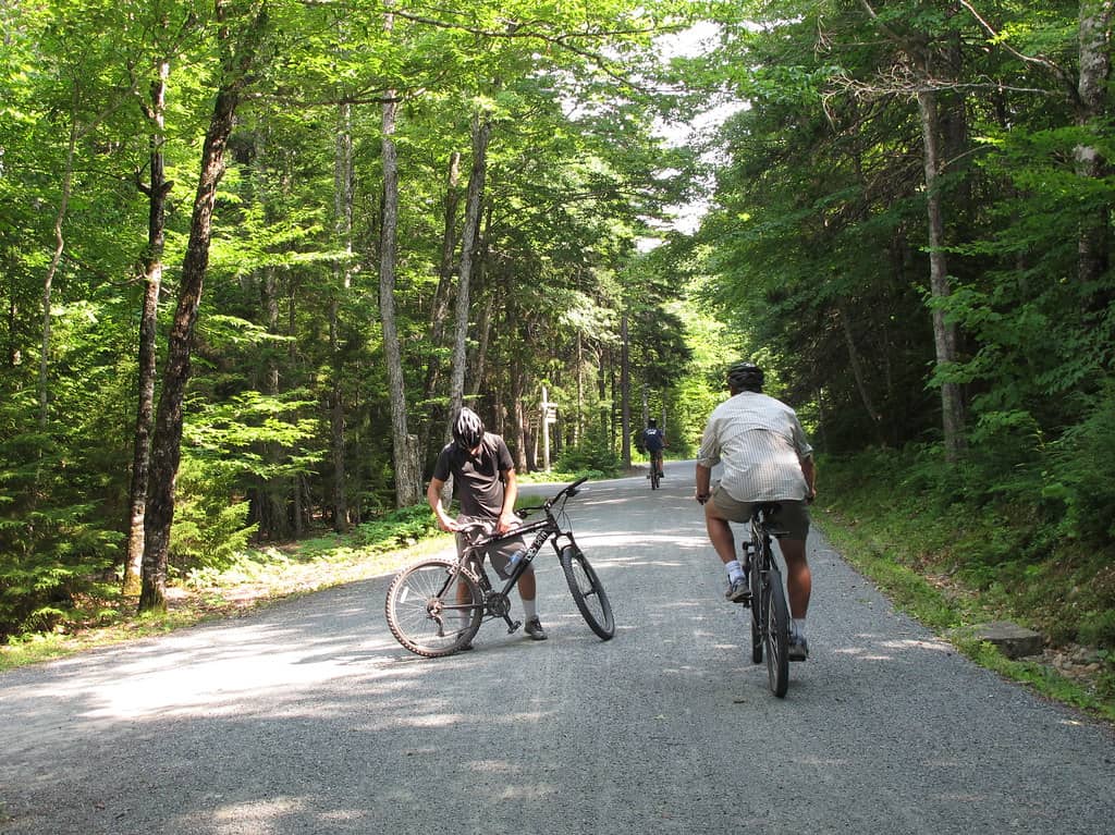 Carriage Road Cycling