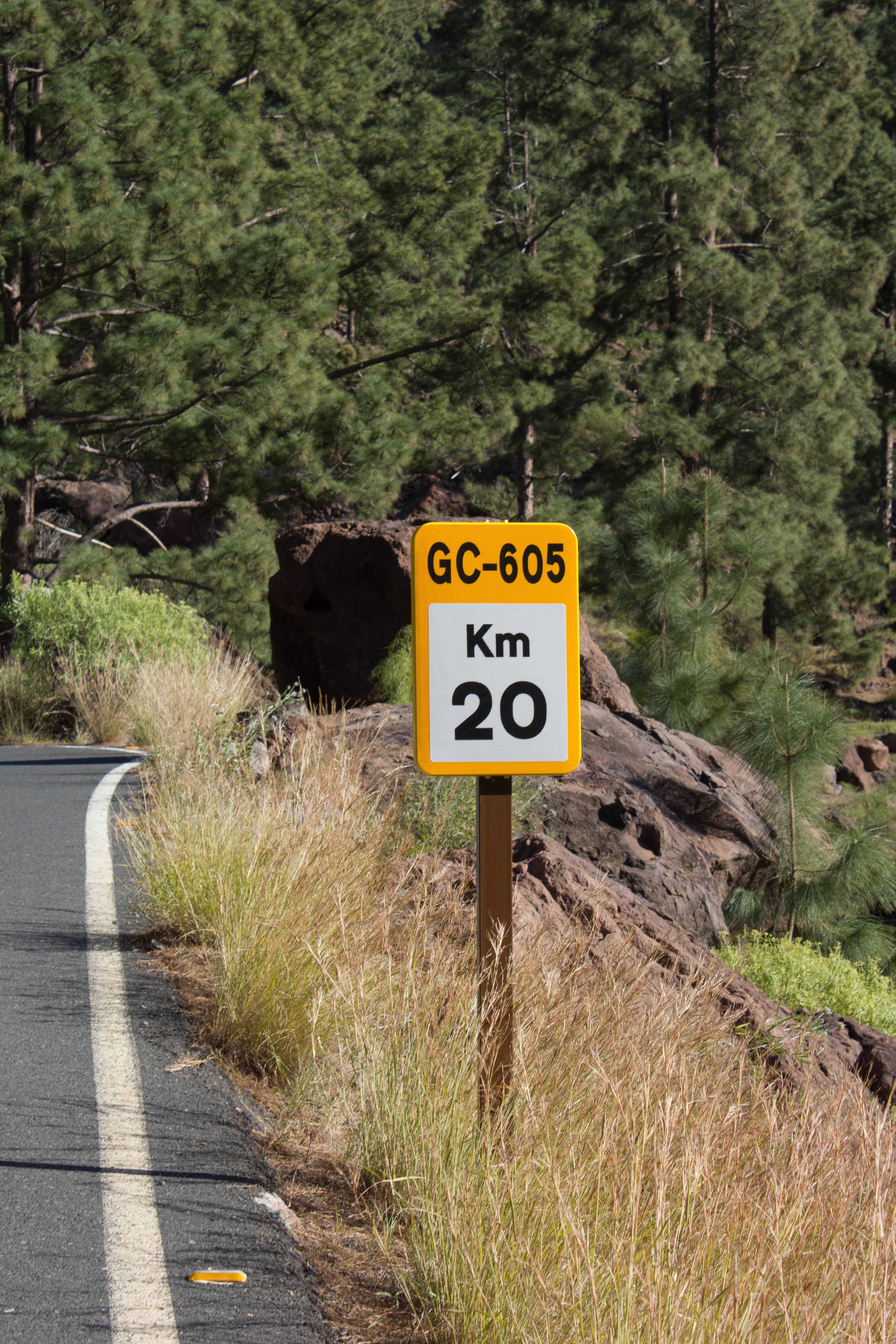 Scenic Mountain Drive