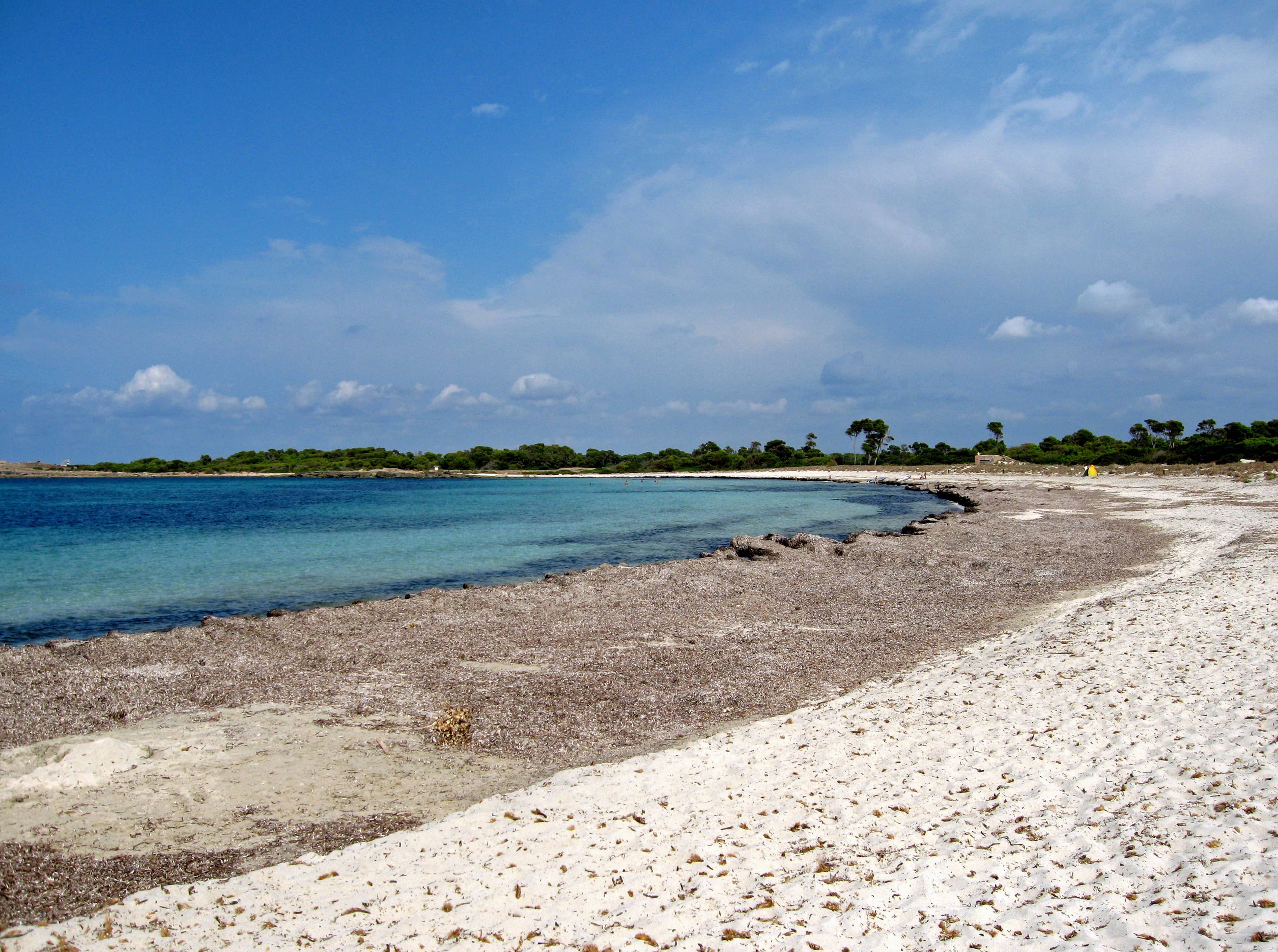 Hidden Coves and Crystal Waters