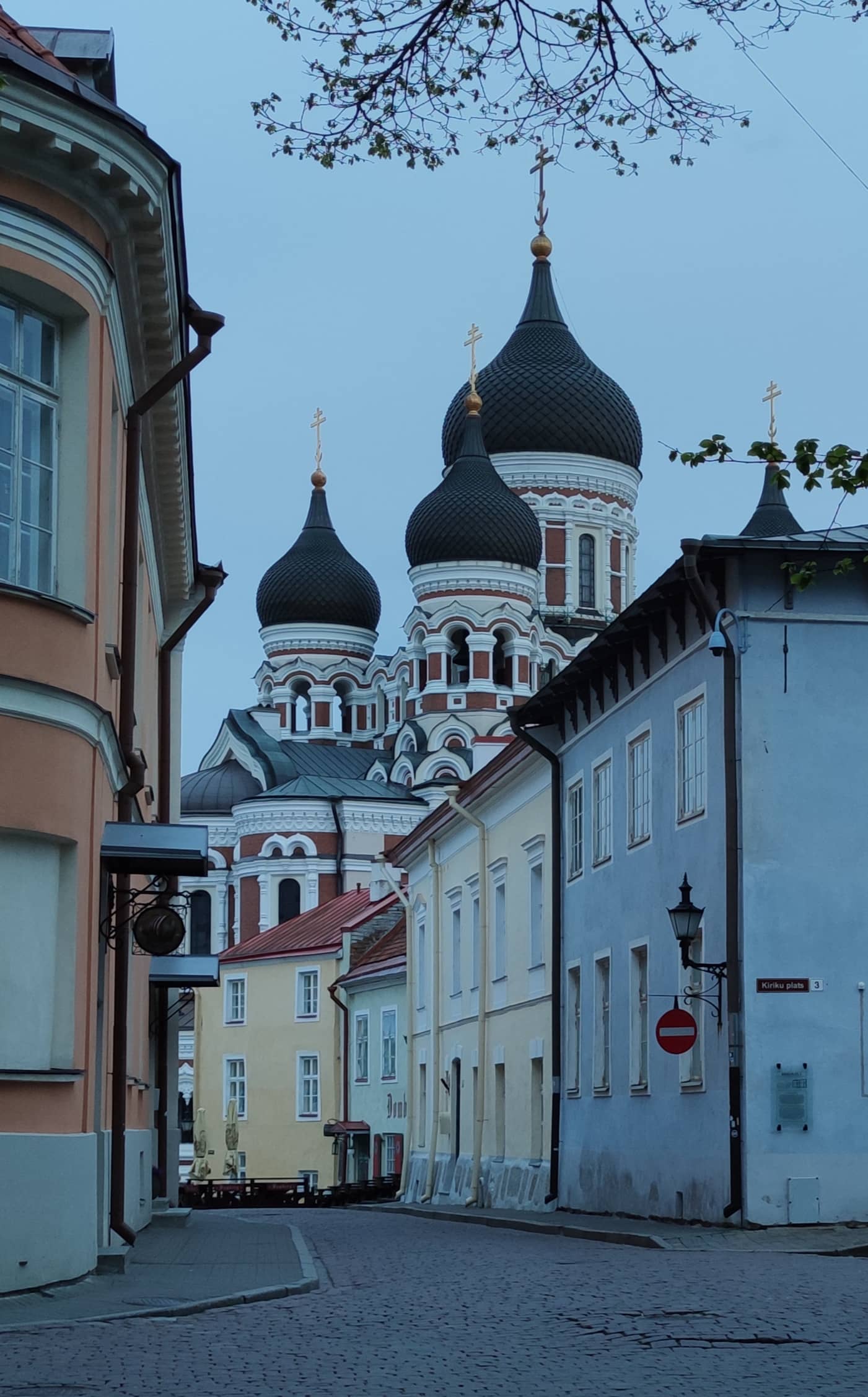 Cozy Restaurant & Drinks