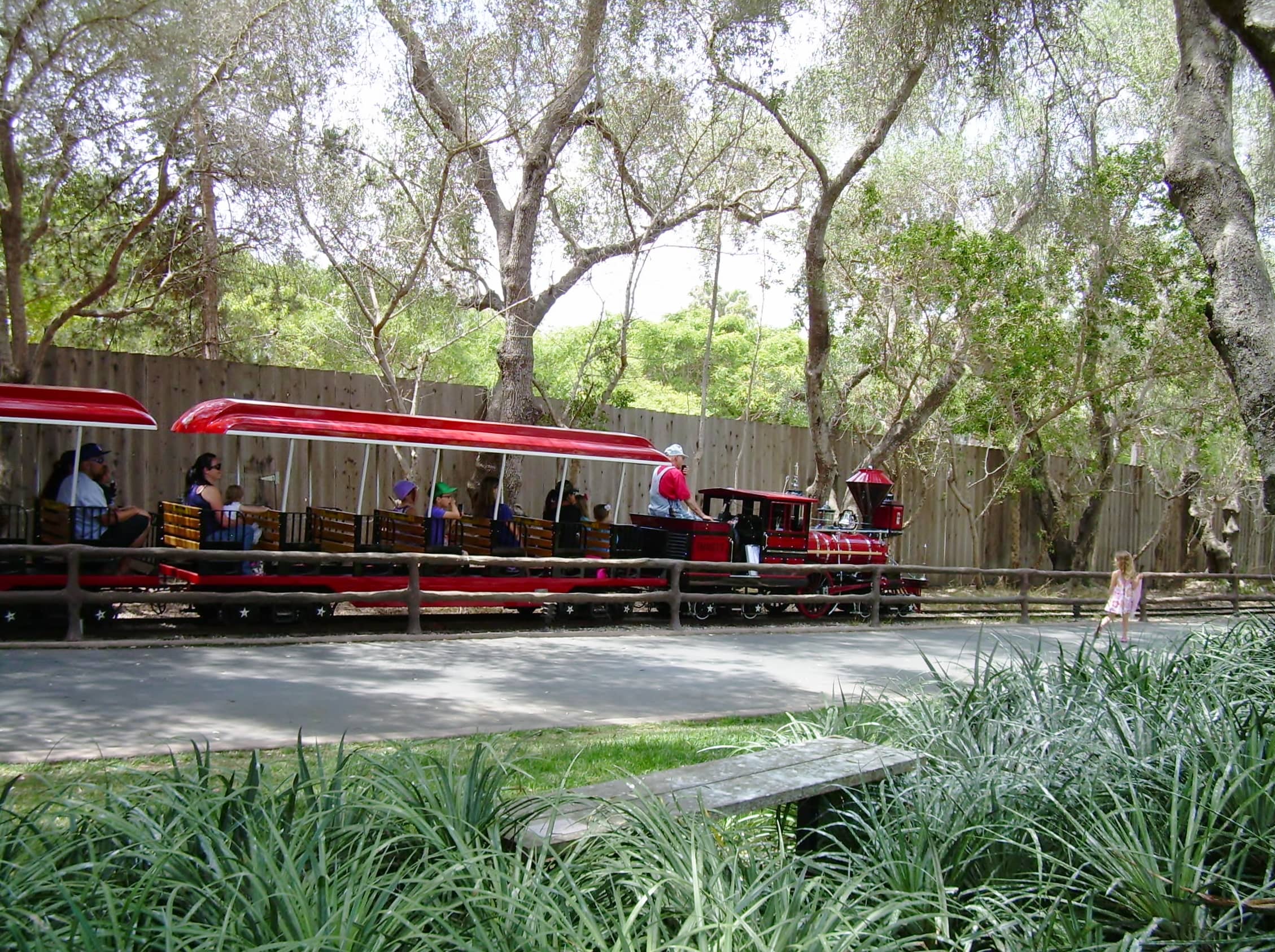 Miniature Train Ride