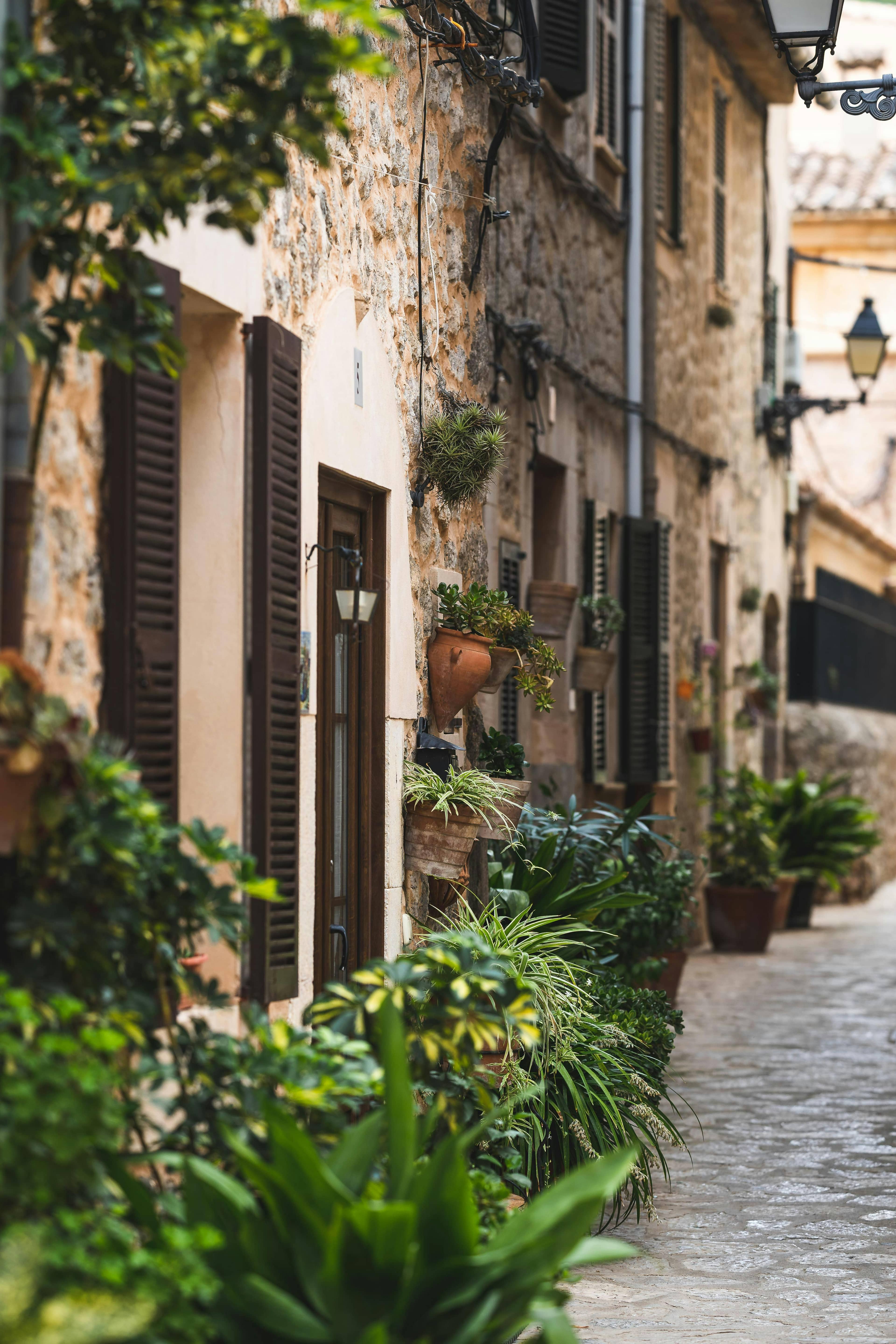 Flower-Lined Streets