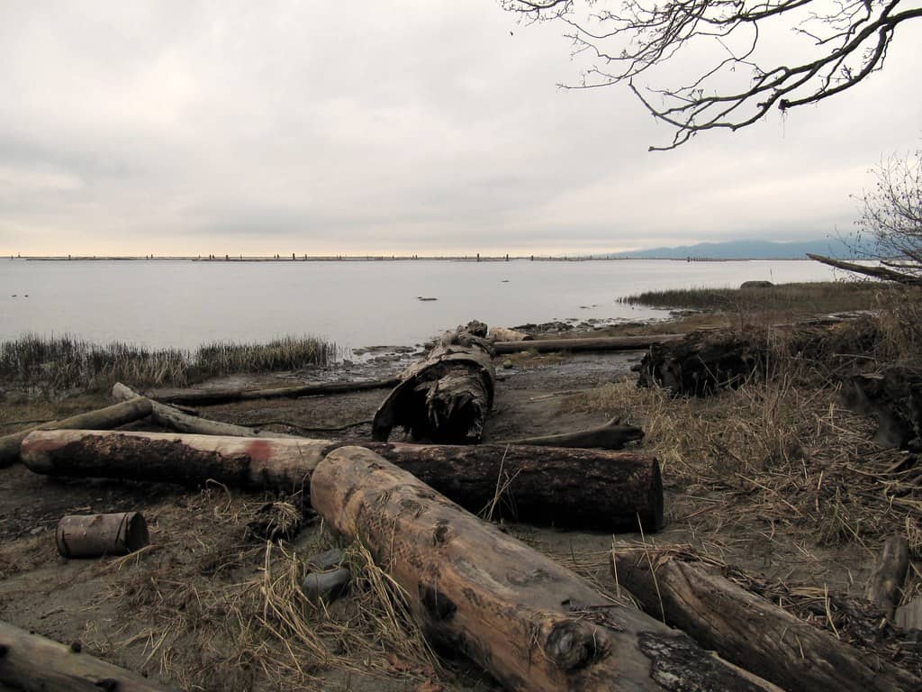 Foreshore Trail to Wreck Beach