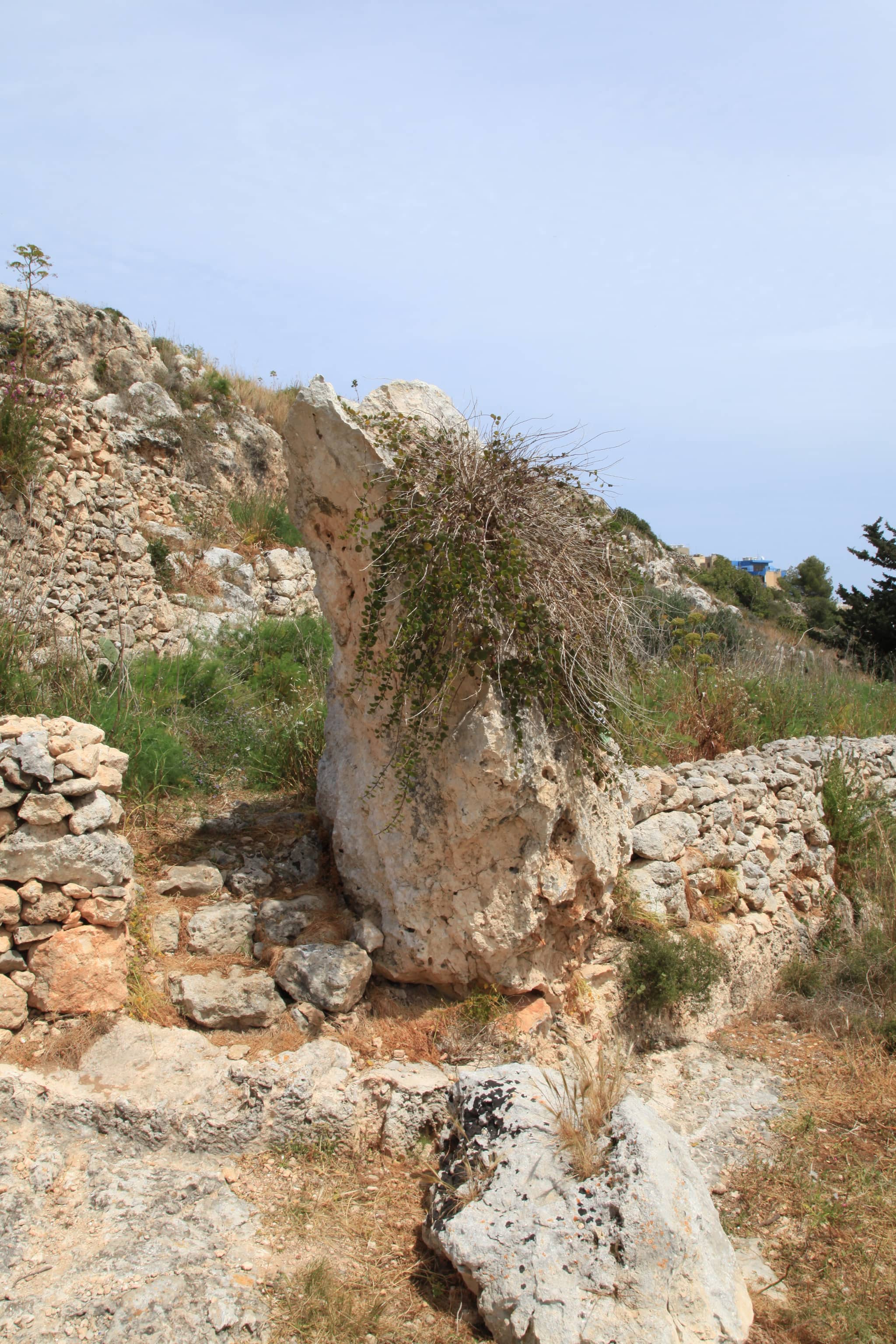 Megalithic Ruins