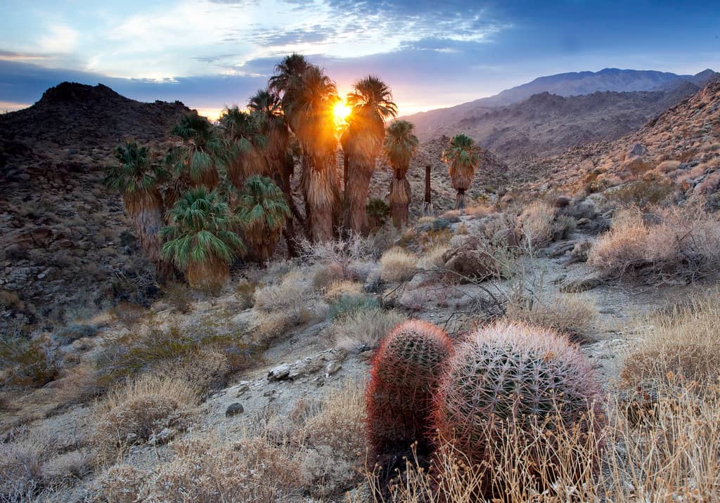 Natural Beauty and Views