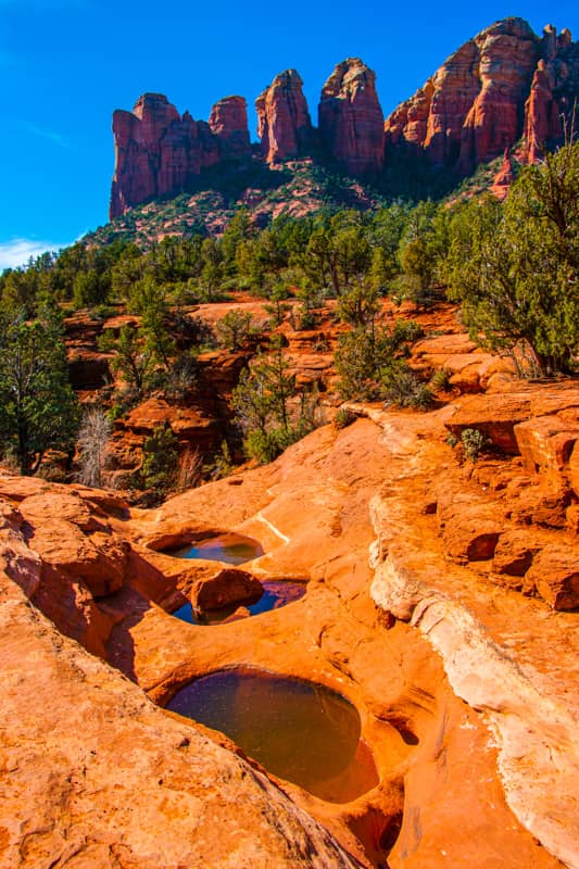 Desert Oasis Pools