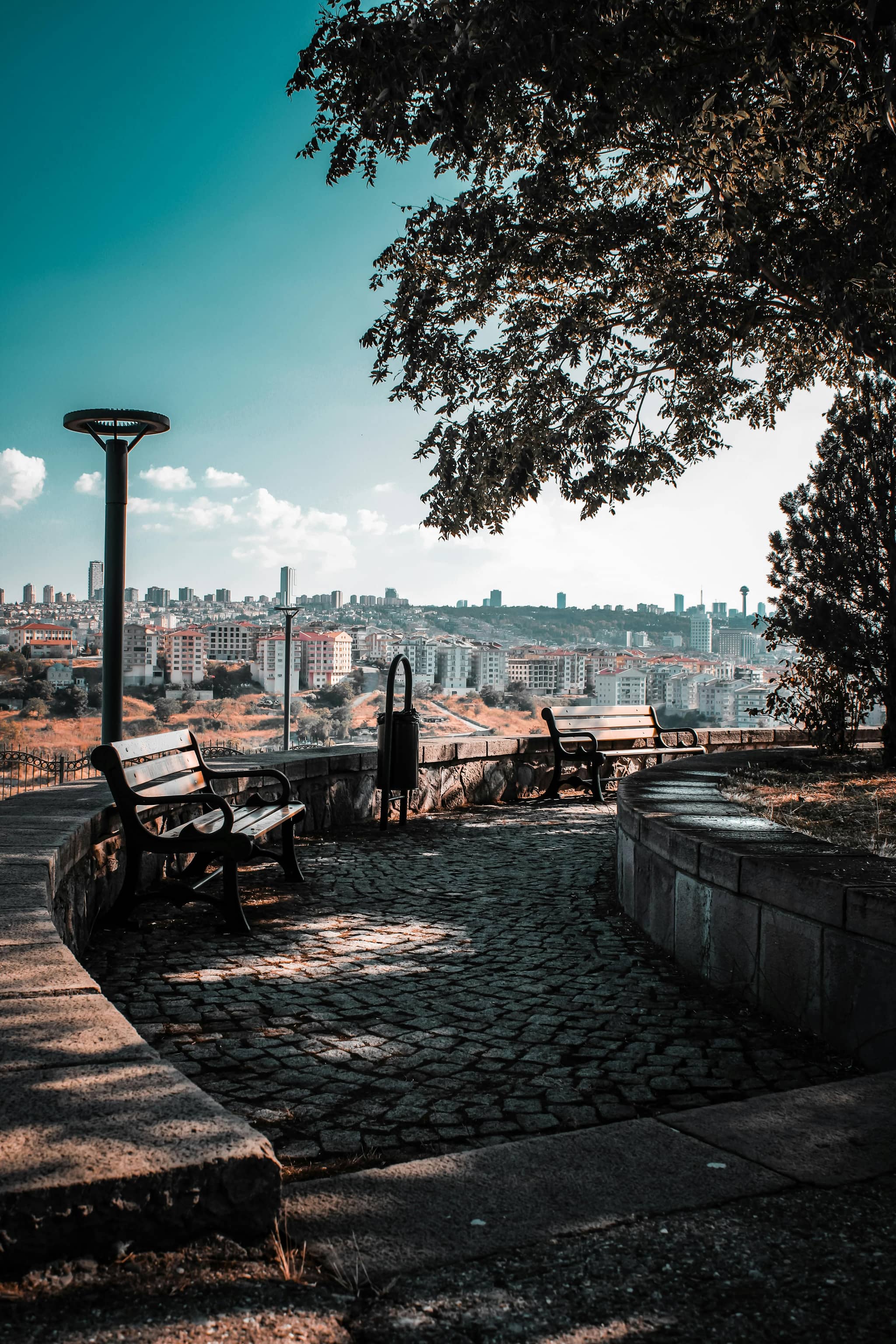 Tranquil Benches