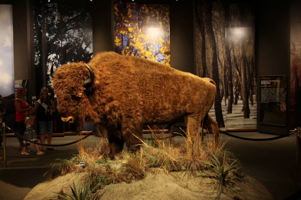 Westward Expansion Exhibits