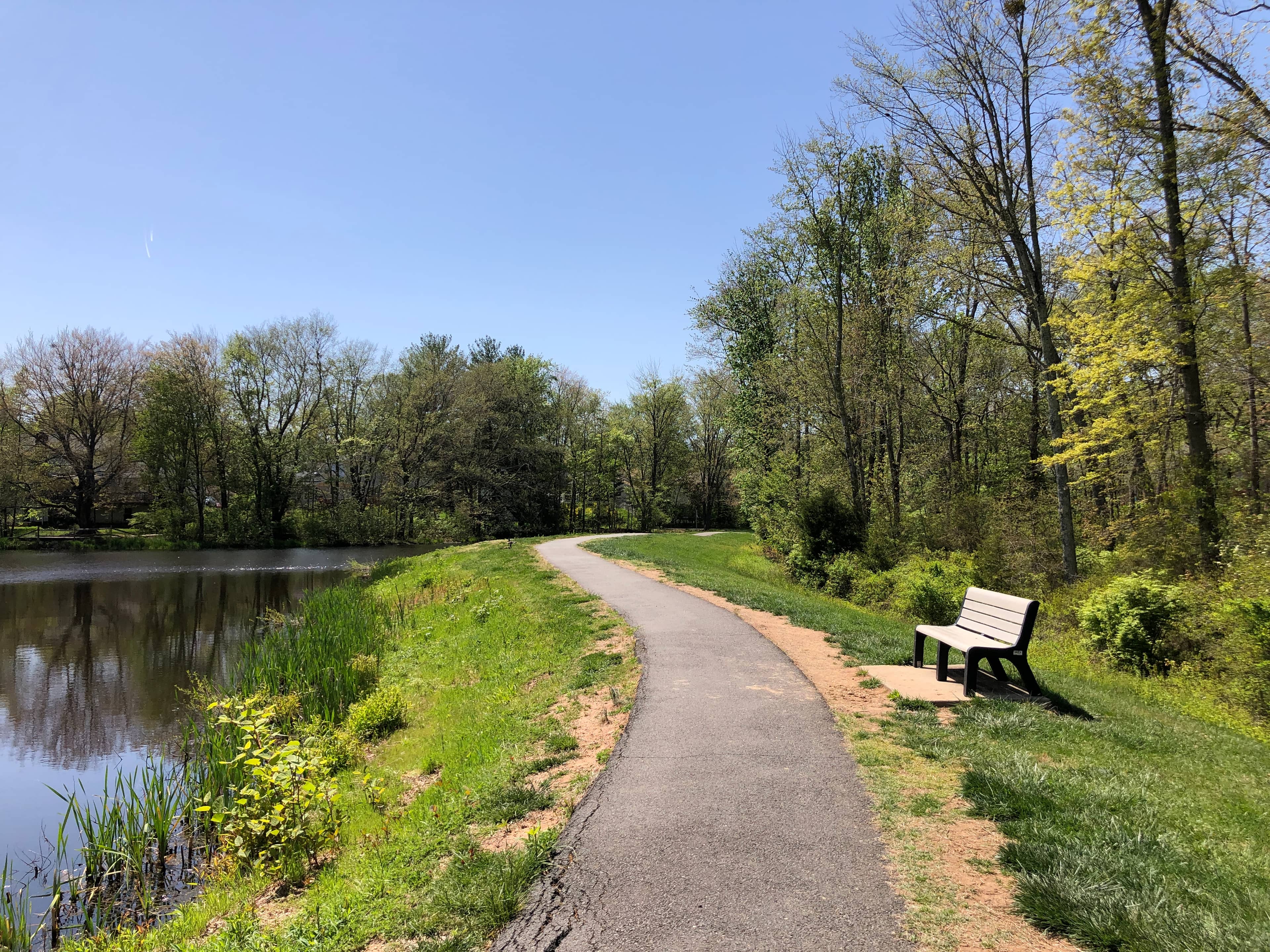Scenic Walking Paths