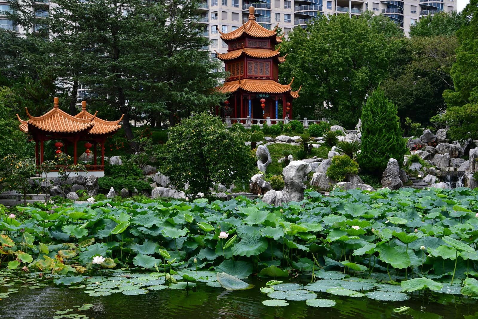 Pagoda & Pavilions