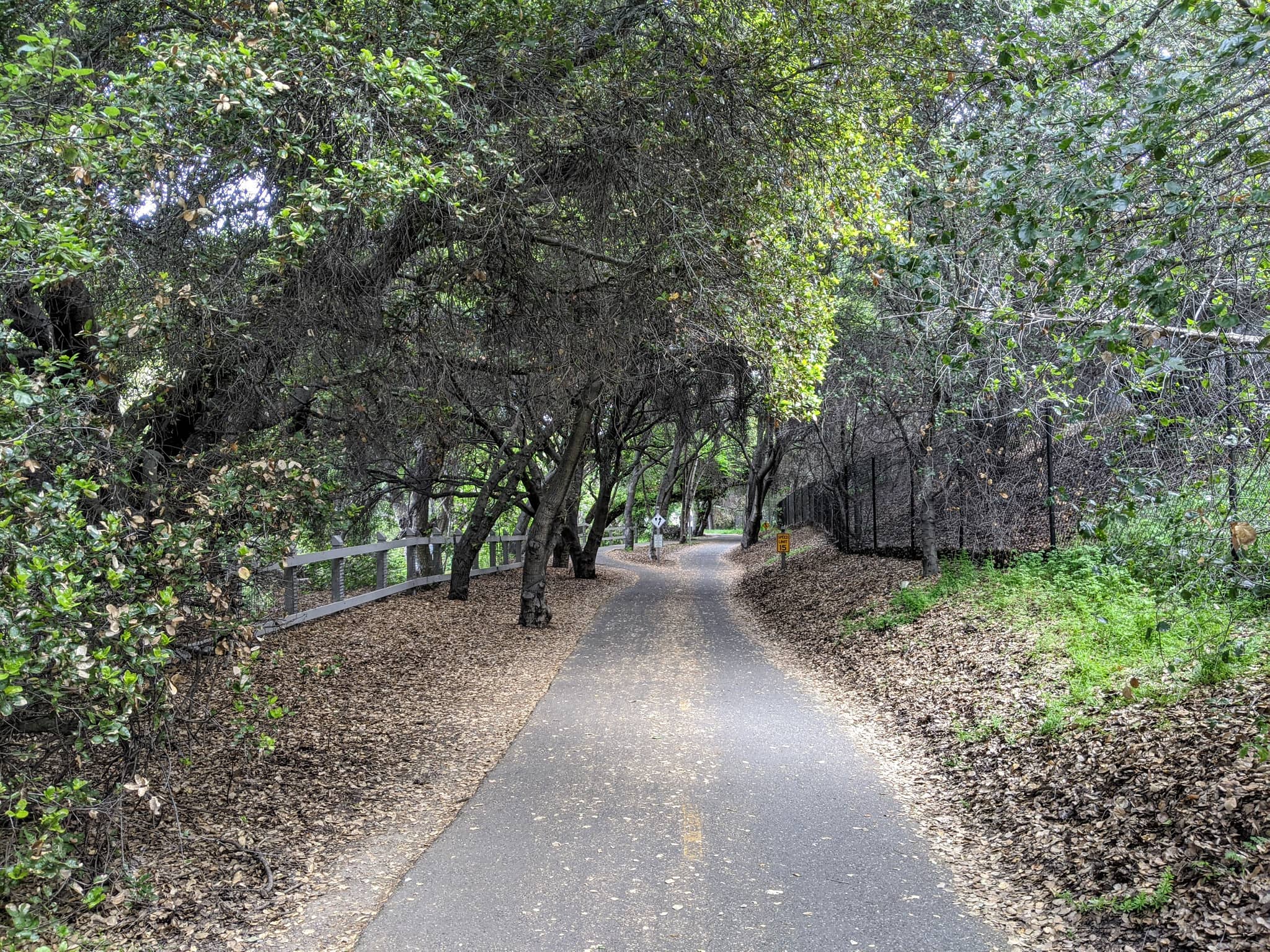 Restored Creek Trails