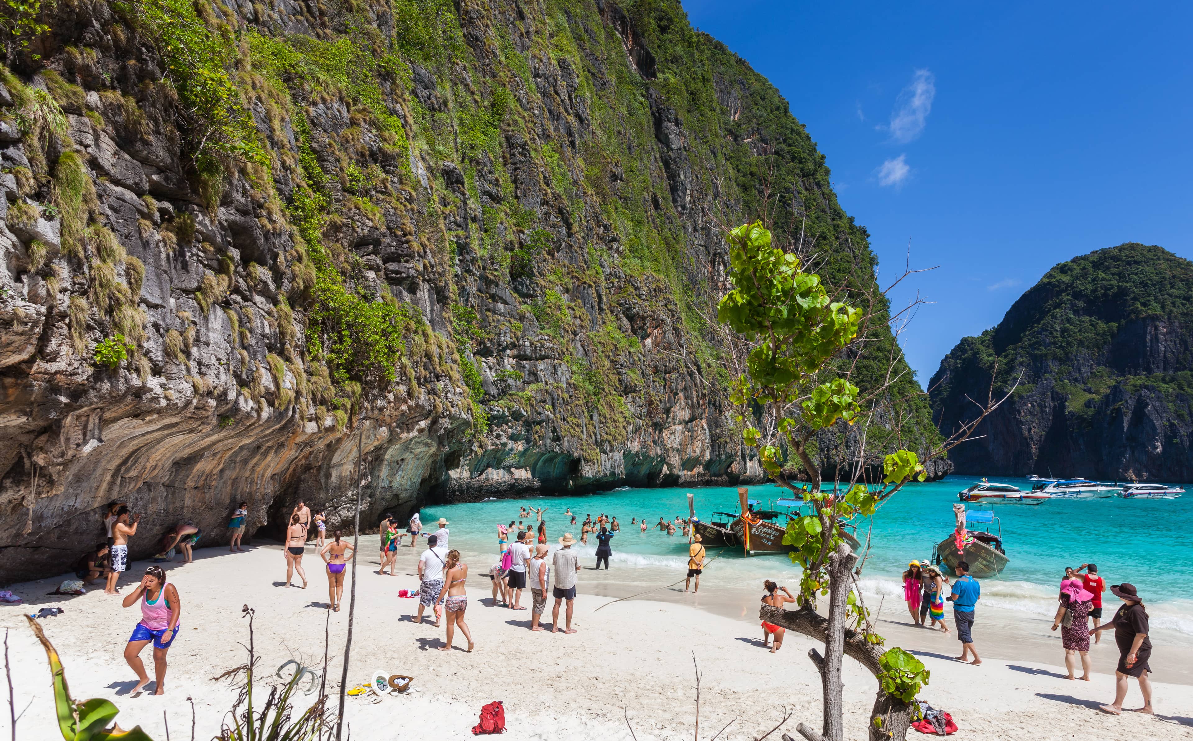 Delicious Tapas-Style Dining