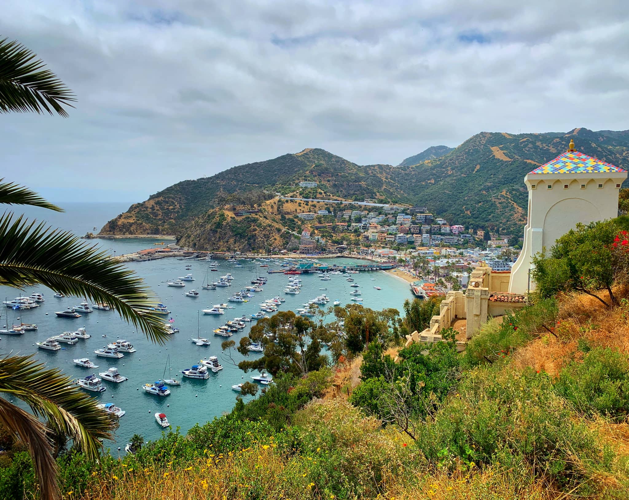Avalon Harbor