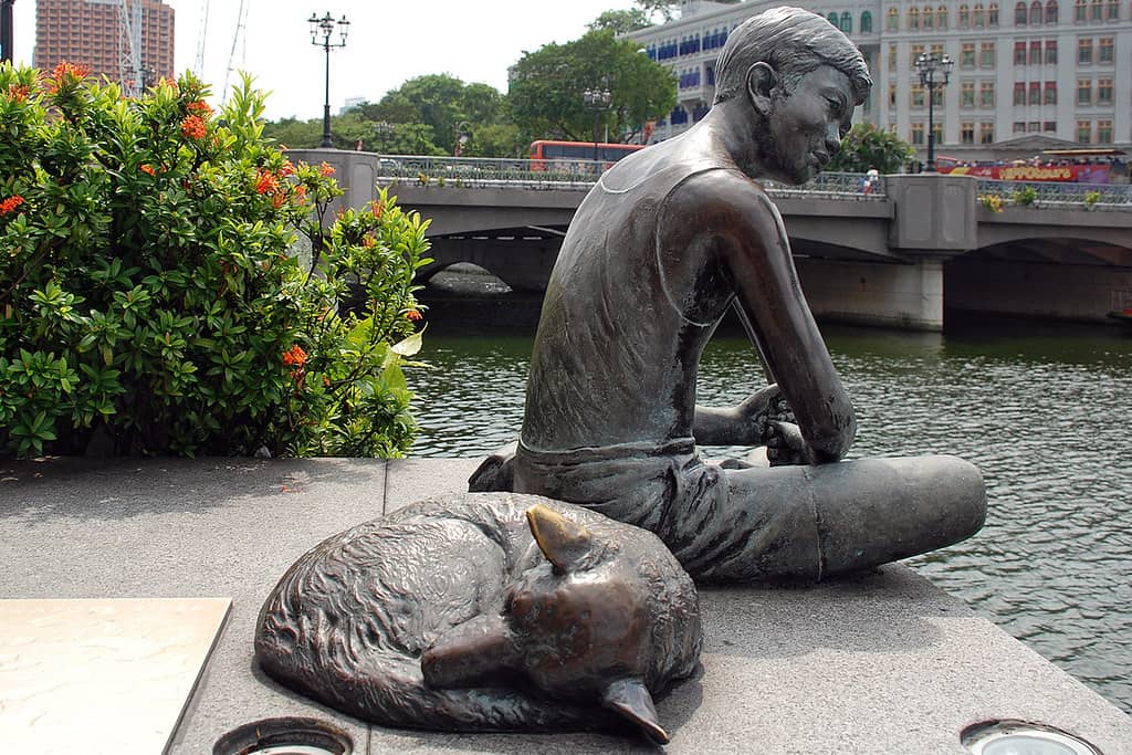 Dog-Friendly Exploration