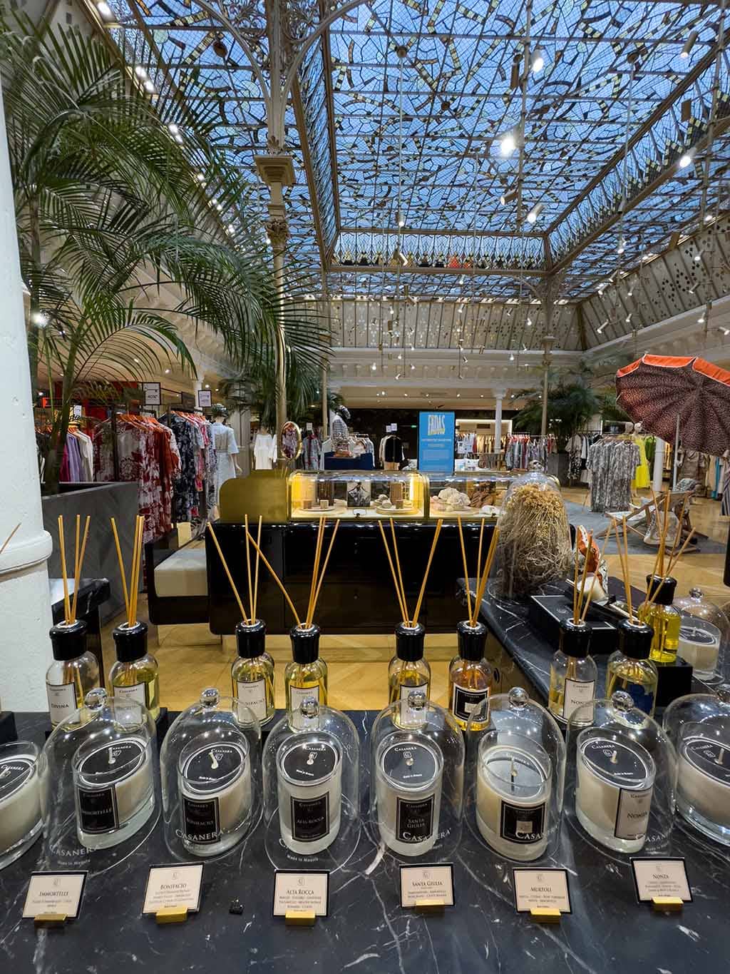 Budget-Friendly Eyewear