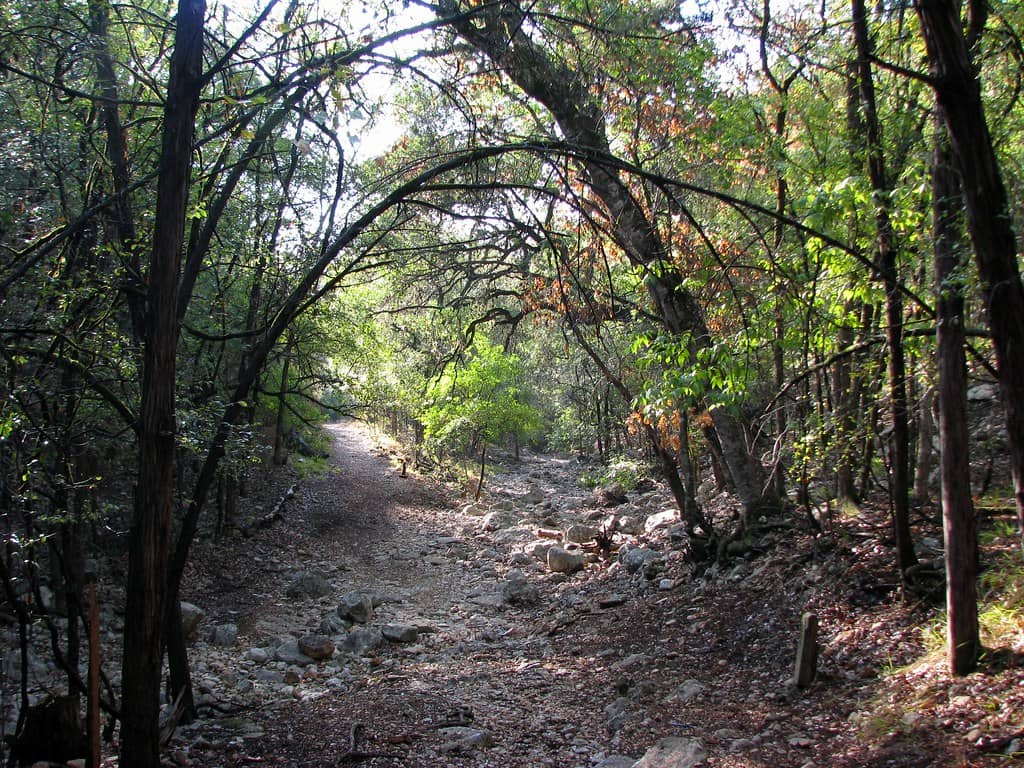 Nature Trails & Wildlife