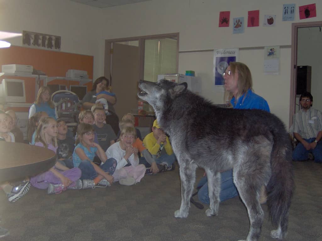 The Sound of Howling