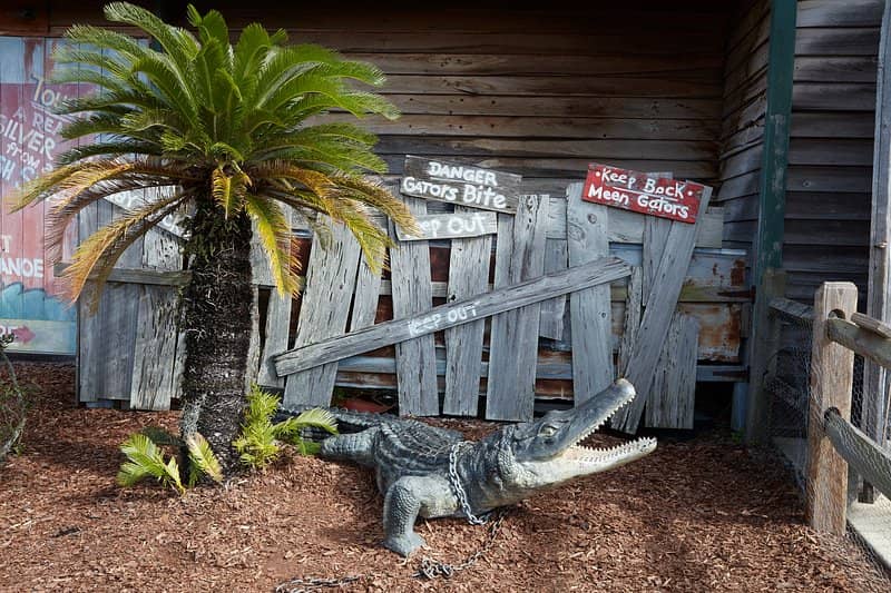 Farm Animal Encounters