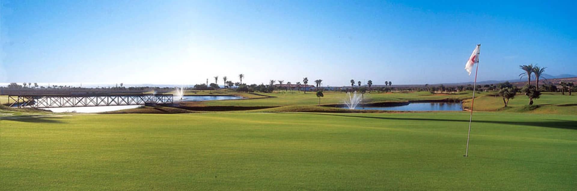 Immaculate Greens