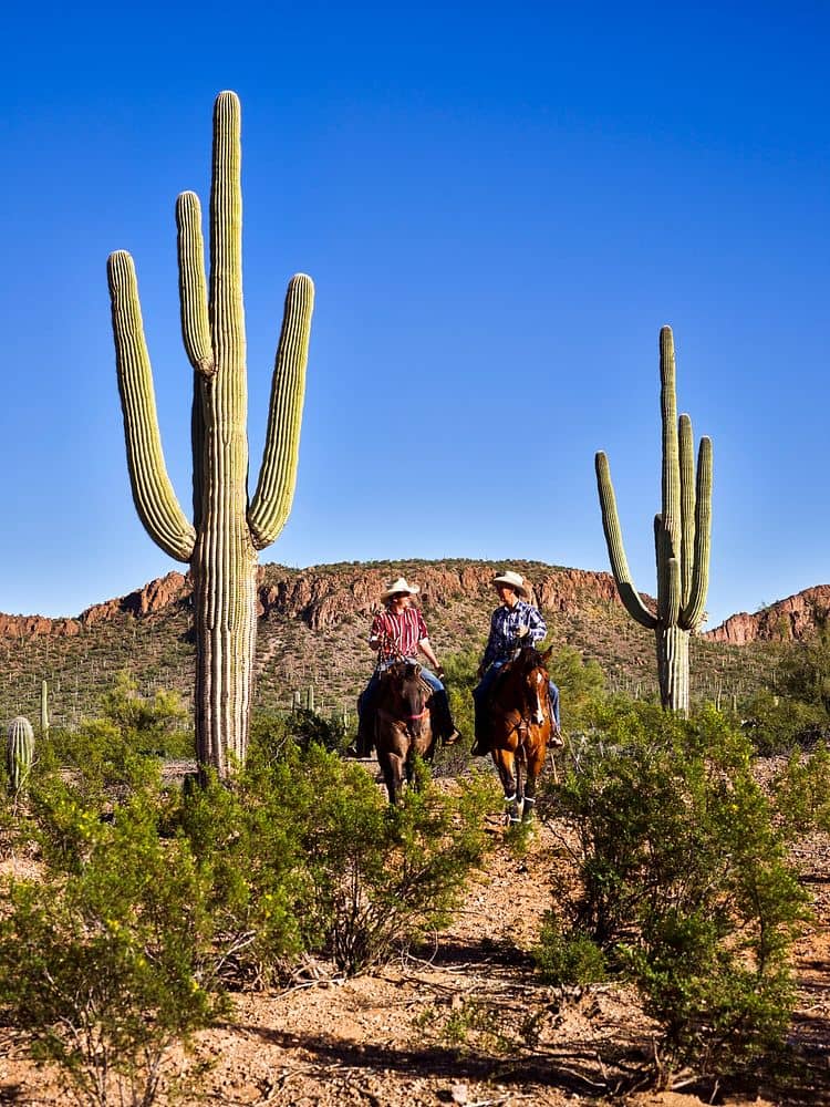 Saguaro Lake Guest Ranch