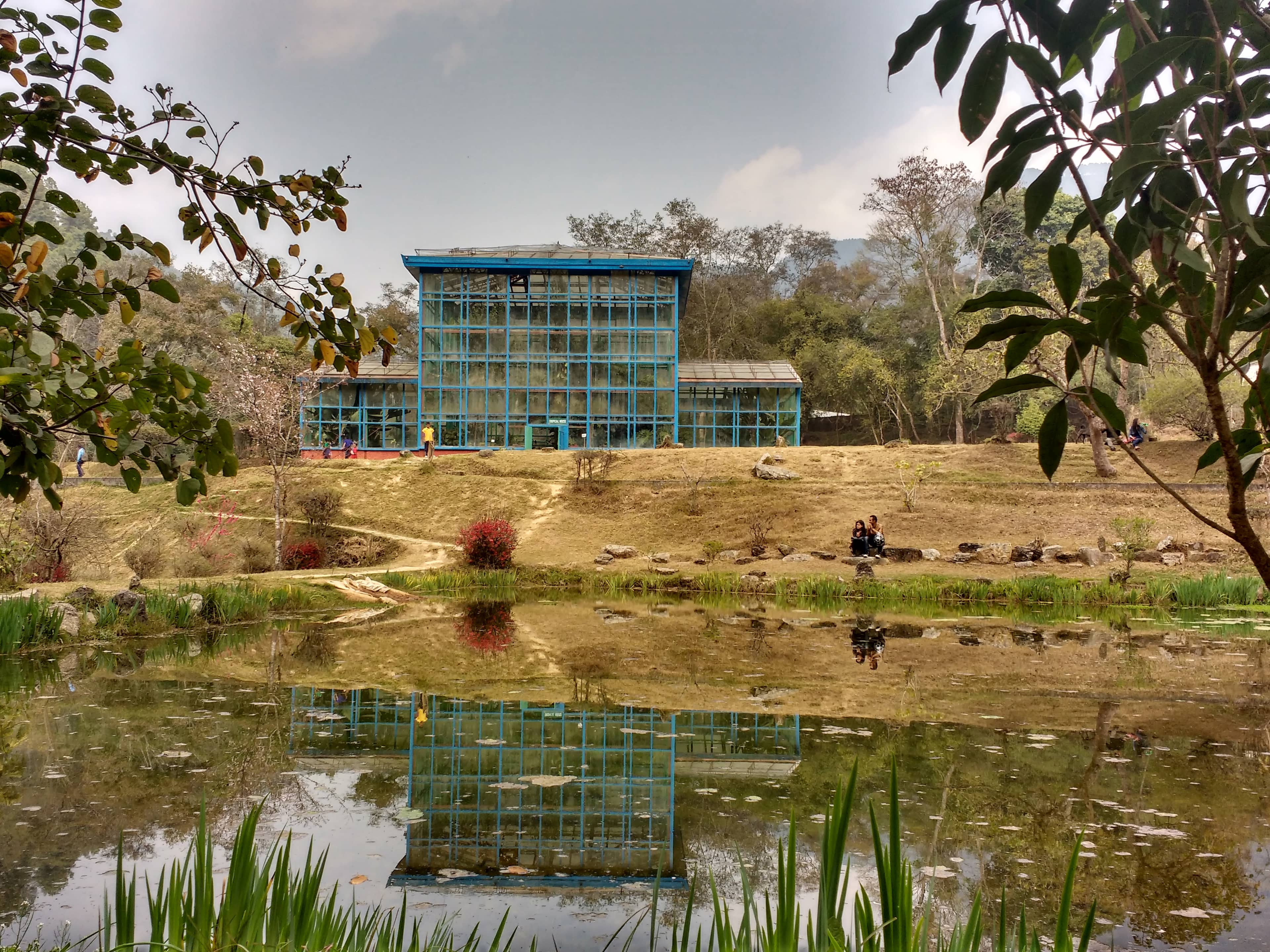 Peaceful Ponds & Creeks