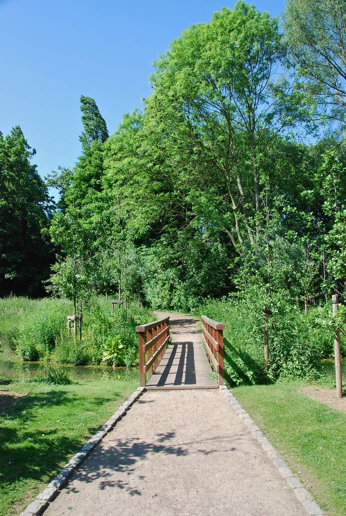 Wooded Trails & Open Fields