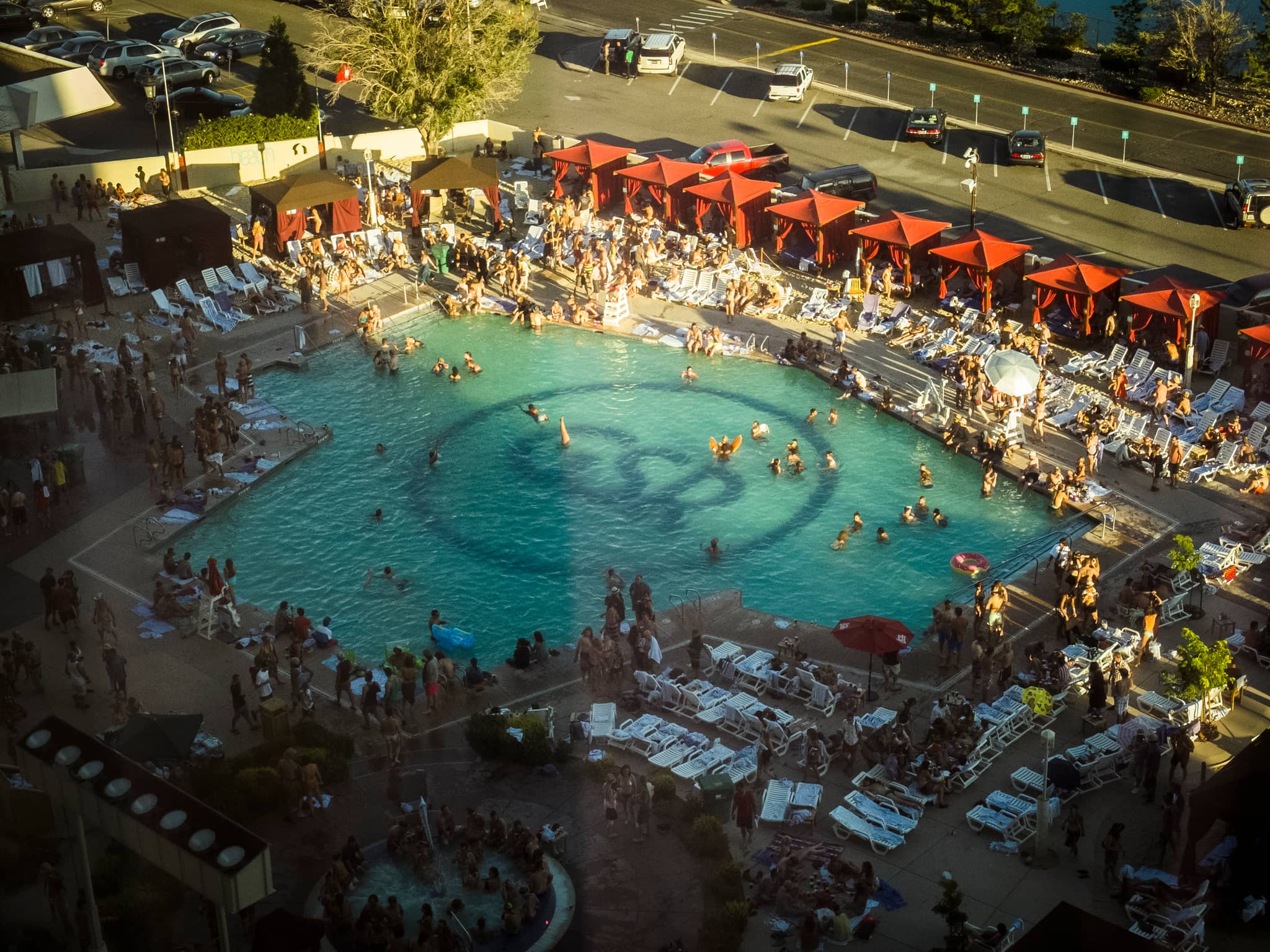 The Pool Oasis