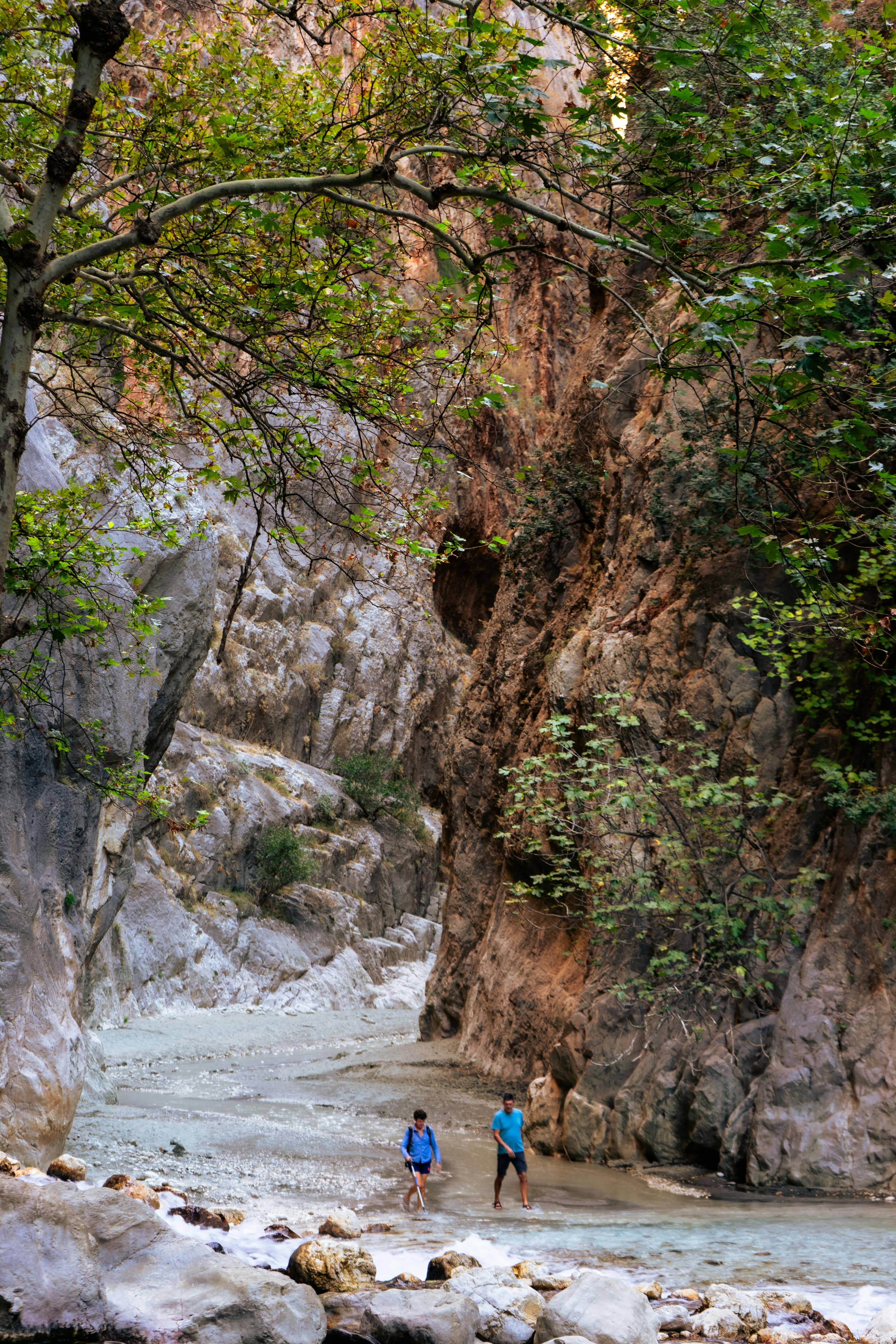 Wilderness Exploration