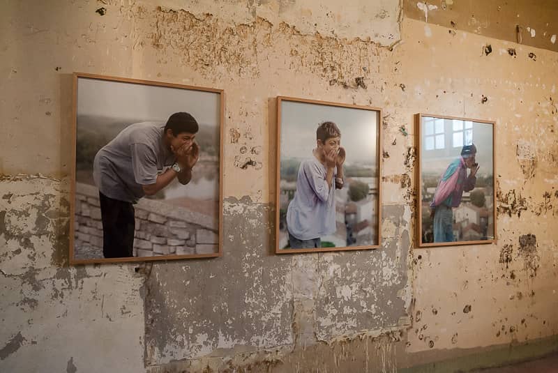 Rotating Special Exhibitions