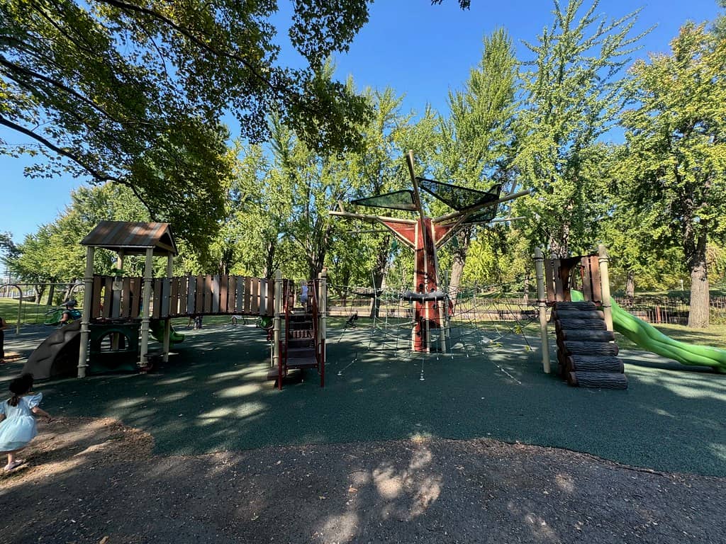 Community Tree Planting