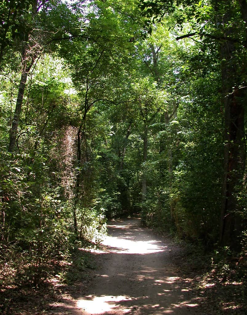 Memorial Park Trails