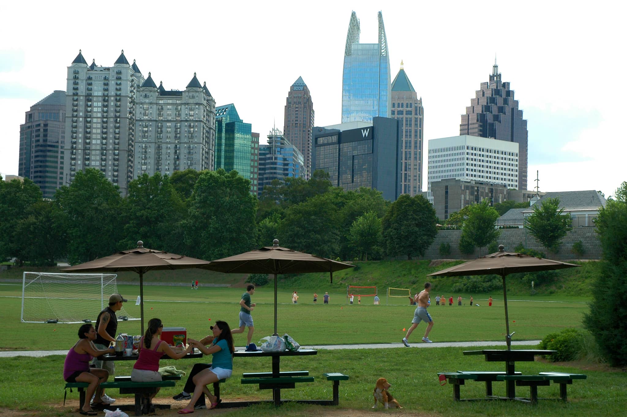 Picnic Perfection
