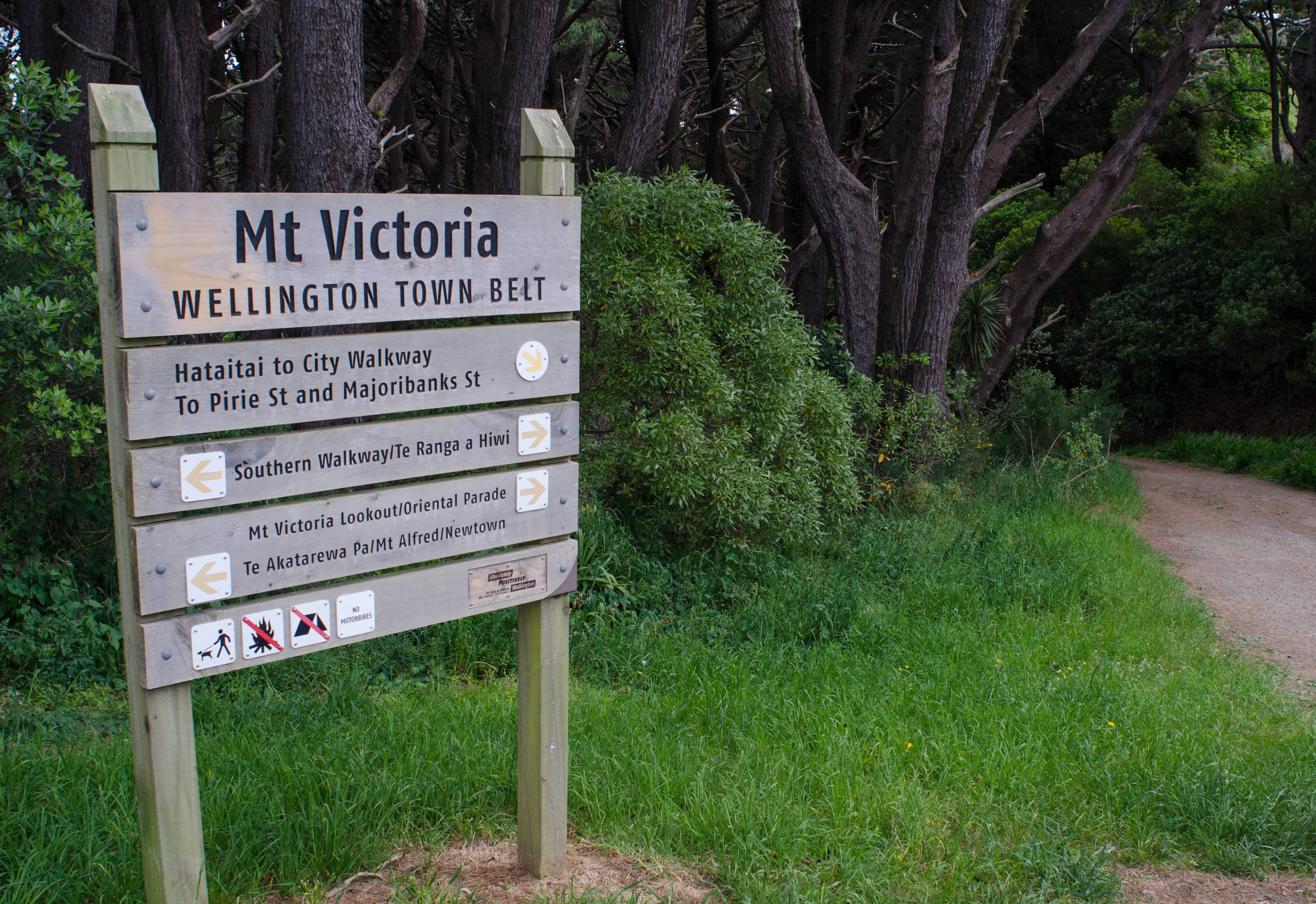 Town Belt Exploration