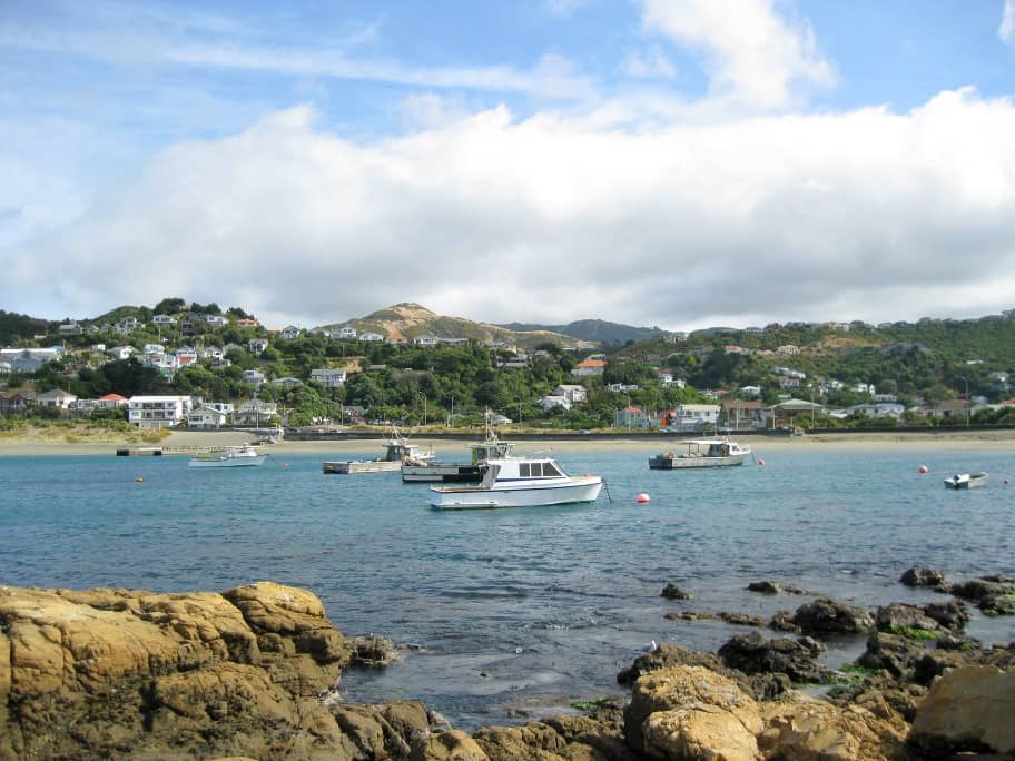 Island Bay South Coast