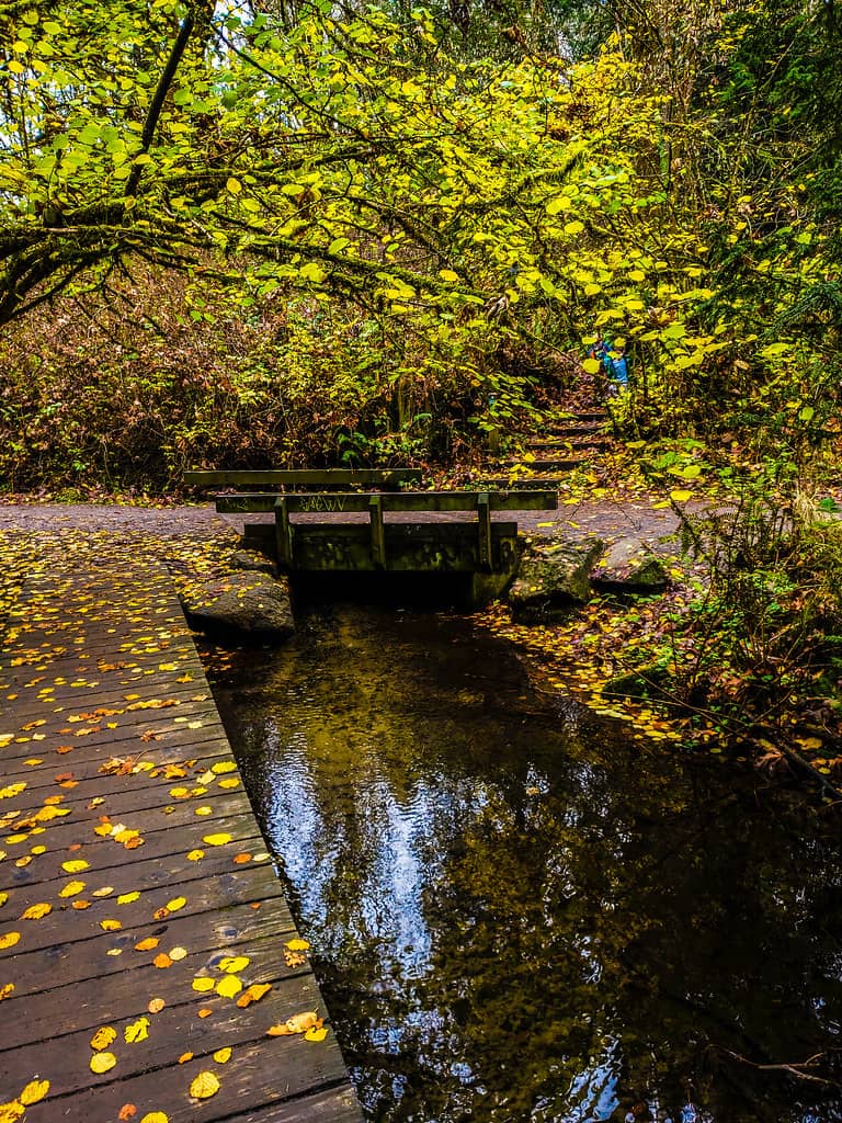 Hidden Streams