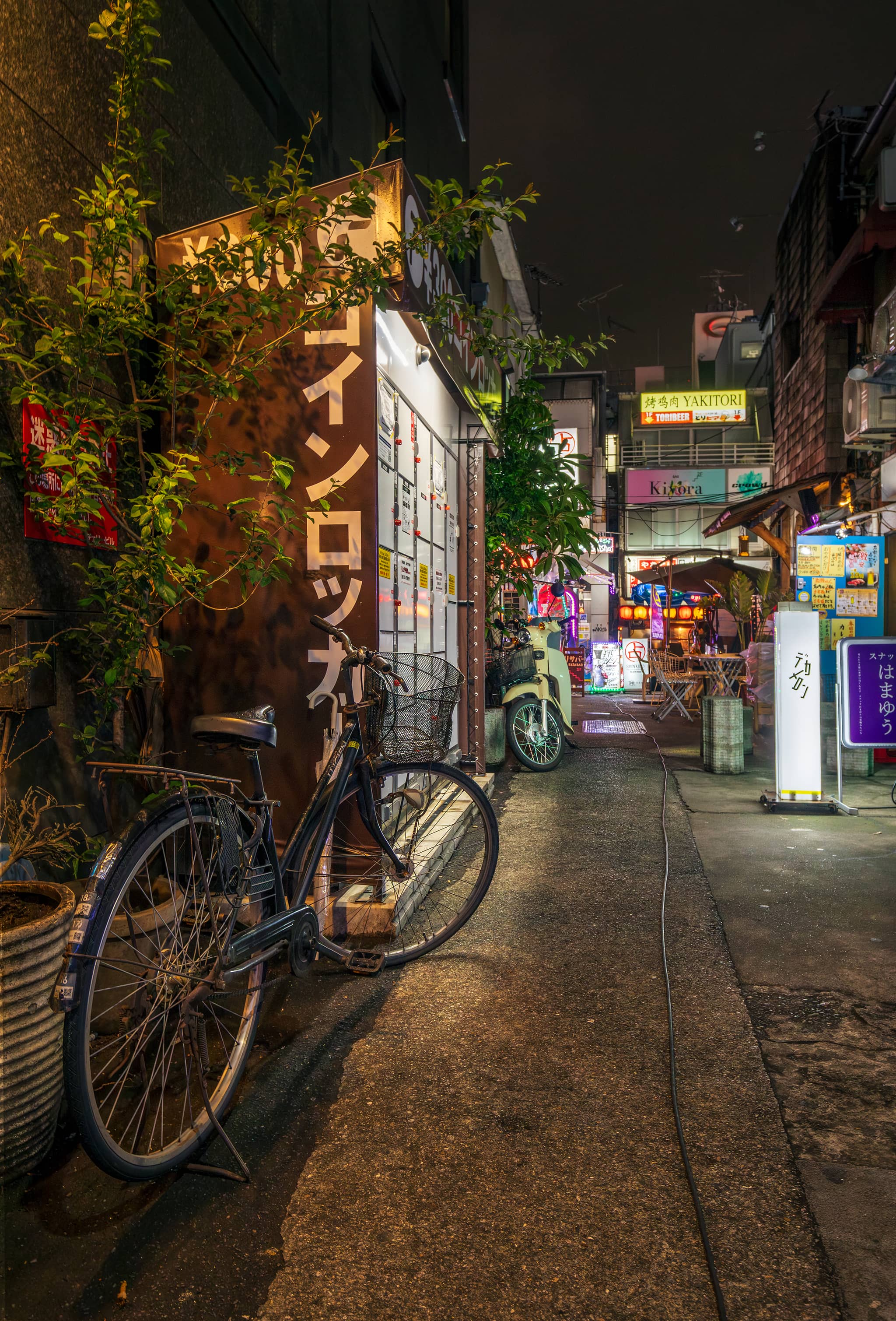 Izakaya Alleys