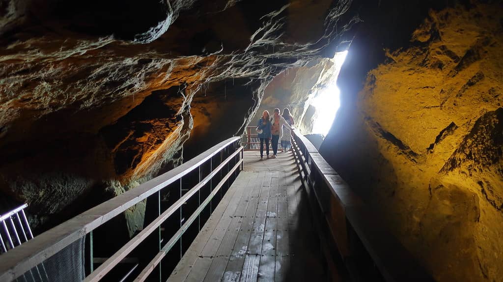 The 145-Step Descent