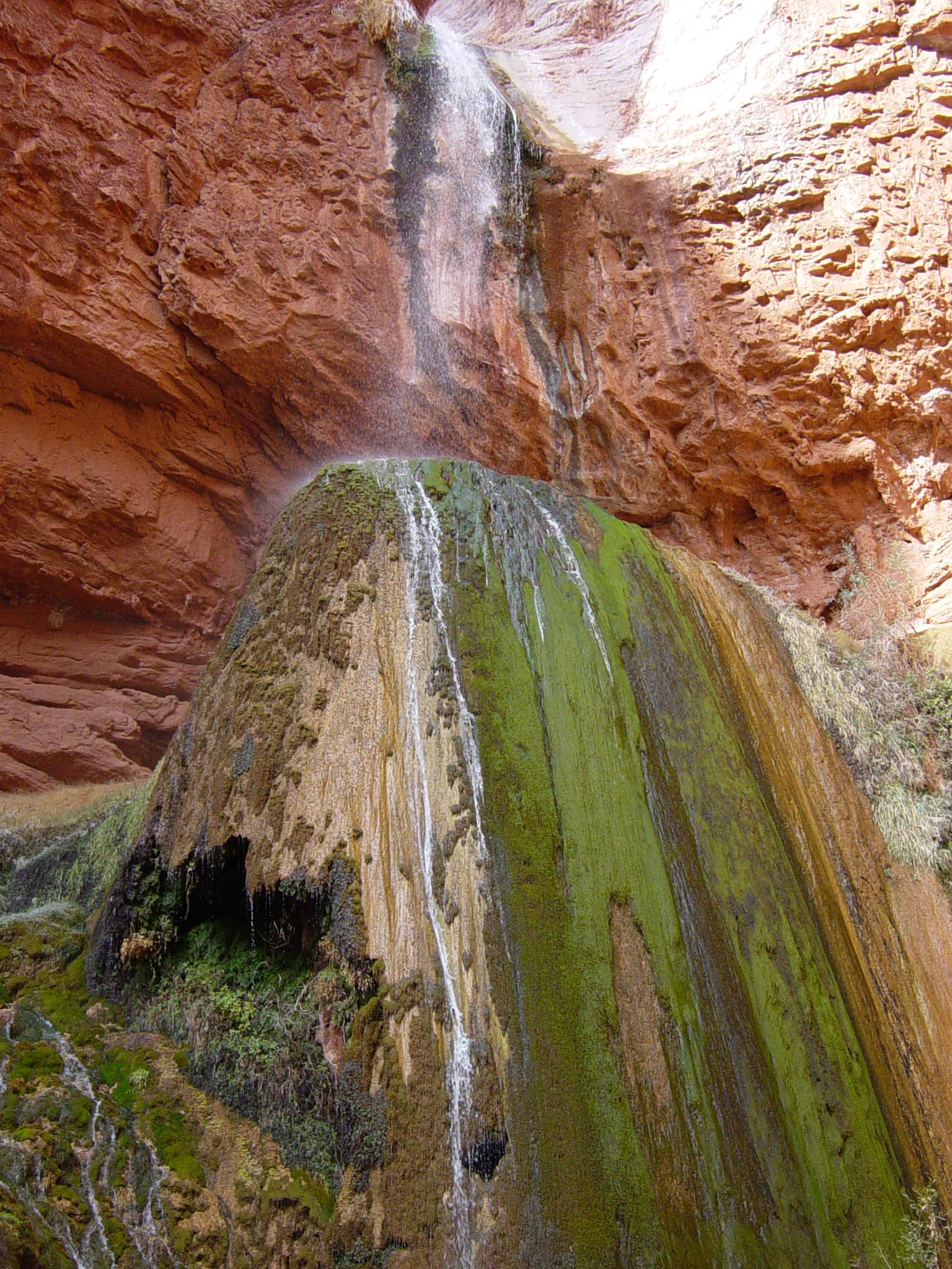 Shaded Grotto Oasis