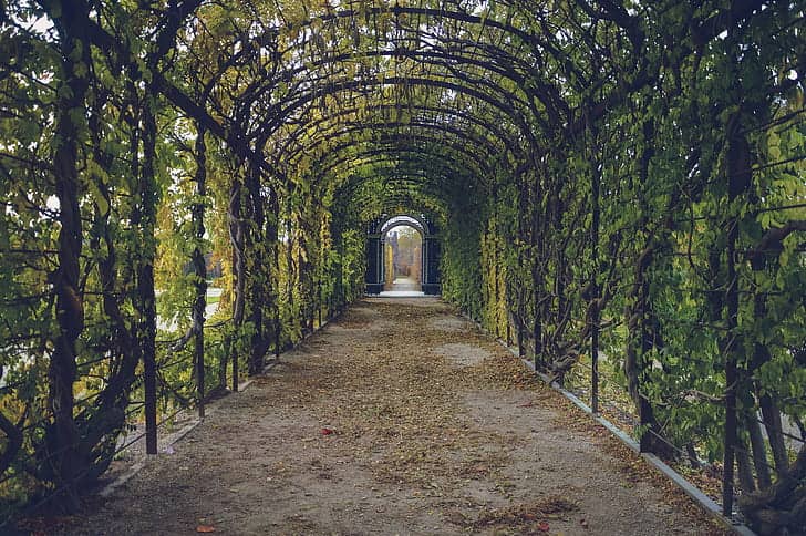 Shaded Walking Paths