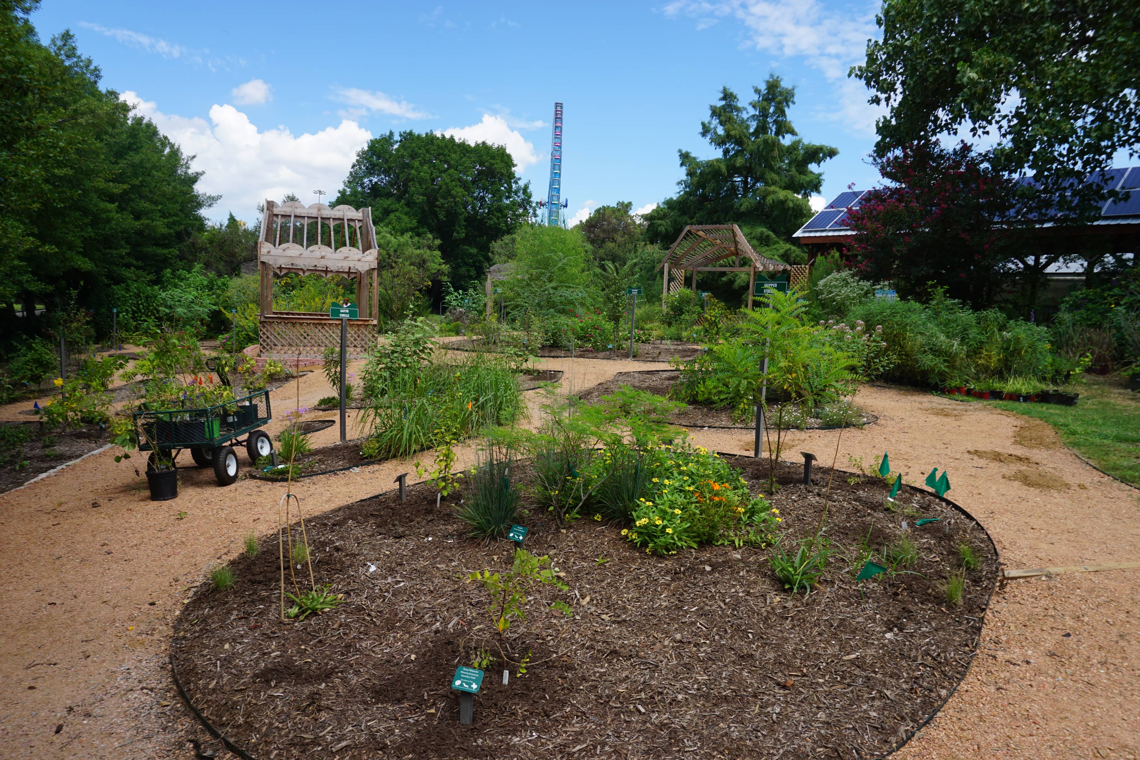 Native Texas Gardens