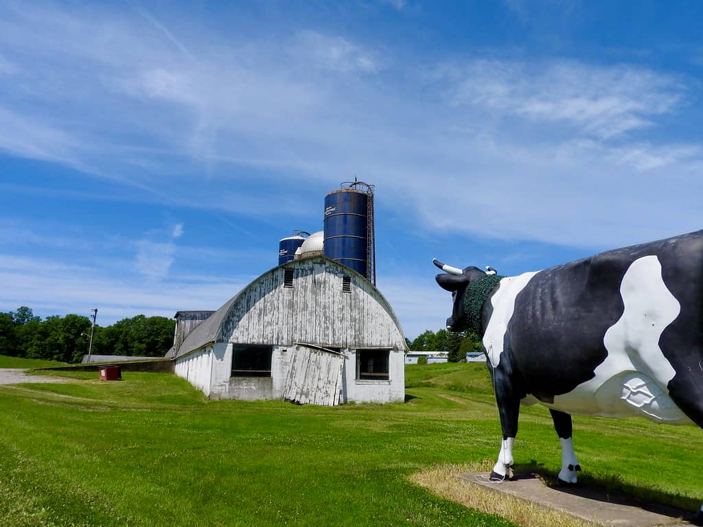 Cow Barn Exploration