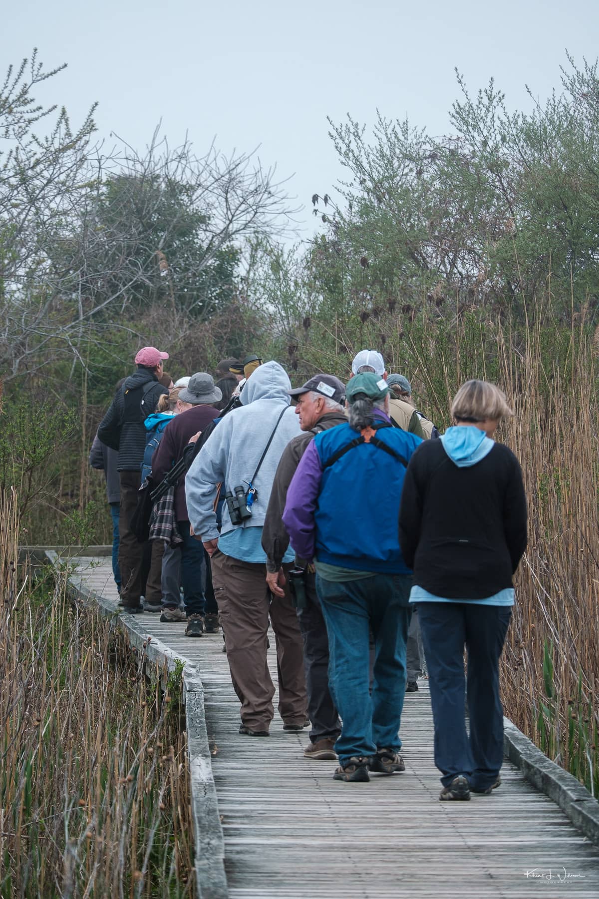 Birdwatching Opportunities