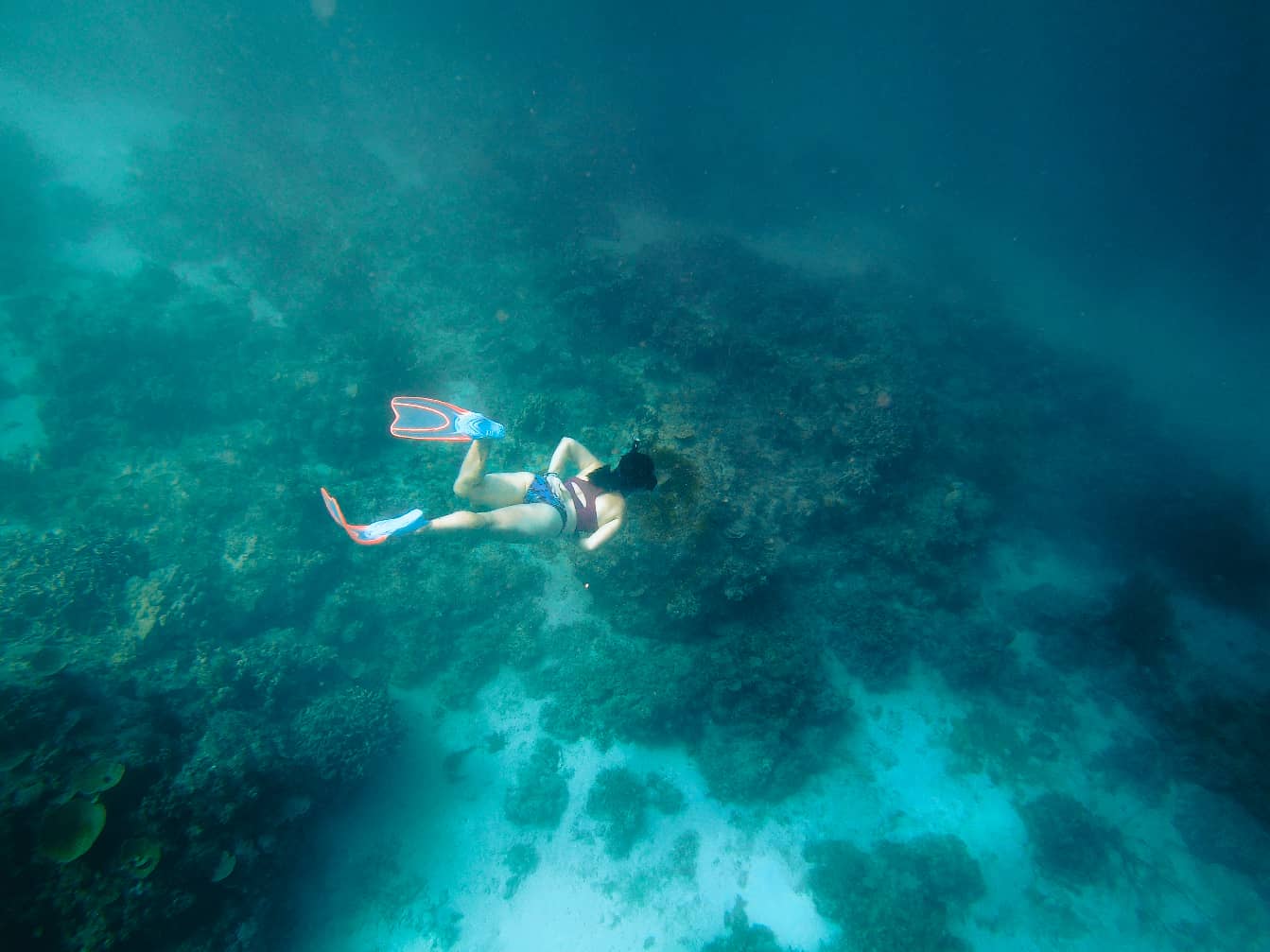 Diving & Snorkeling