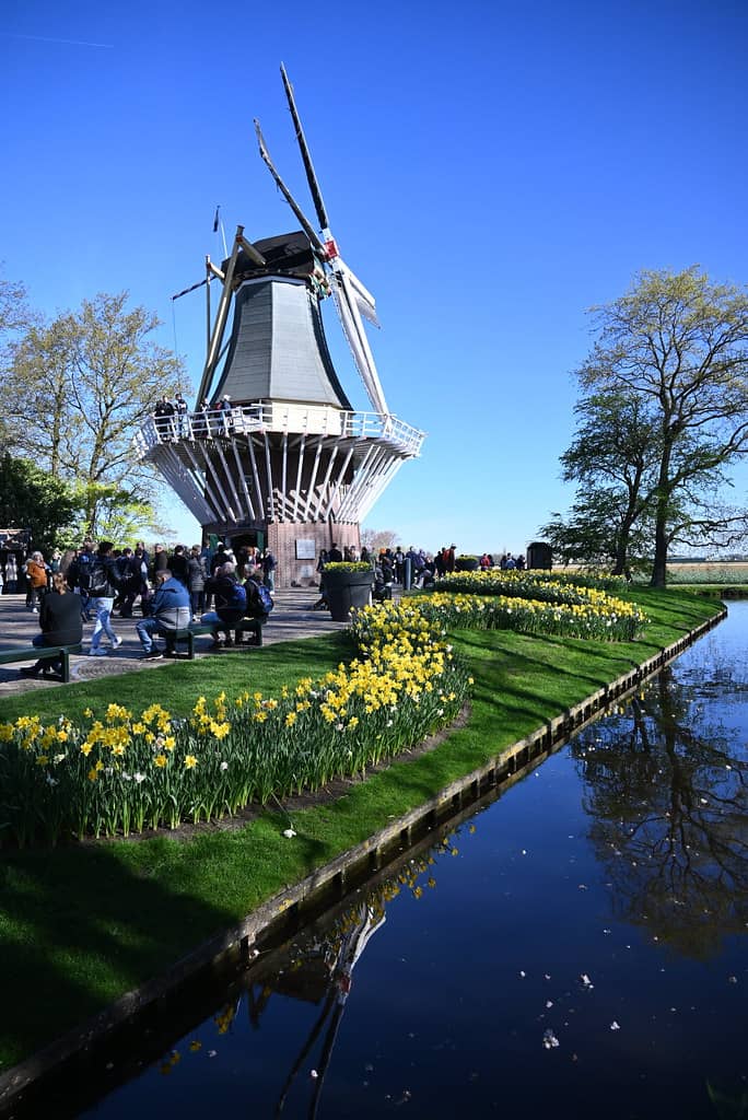 Windmills